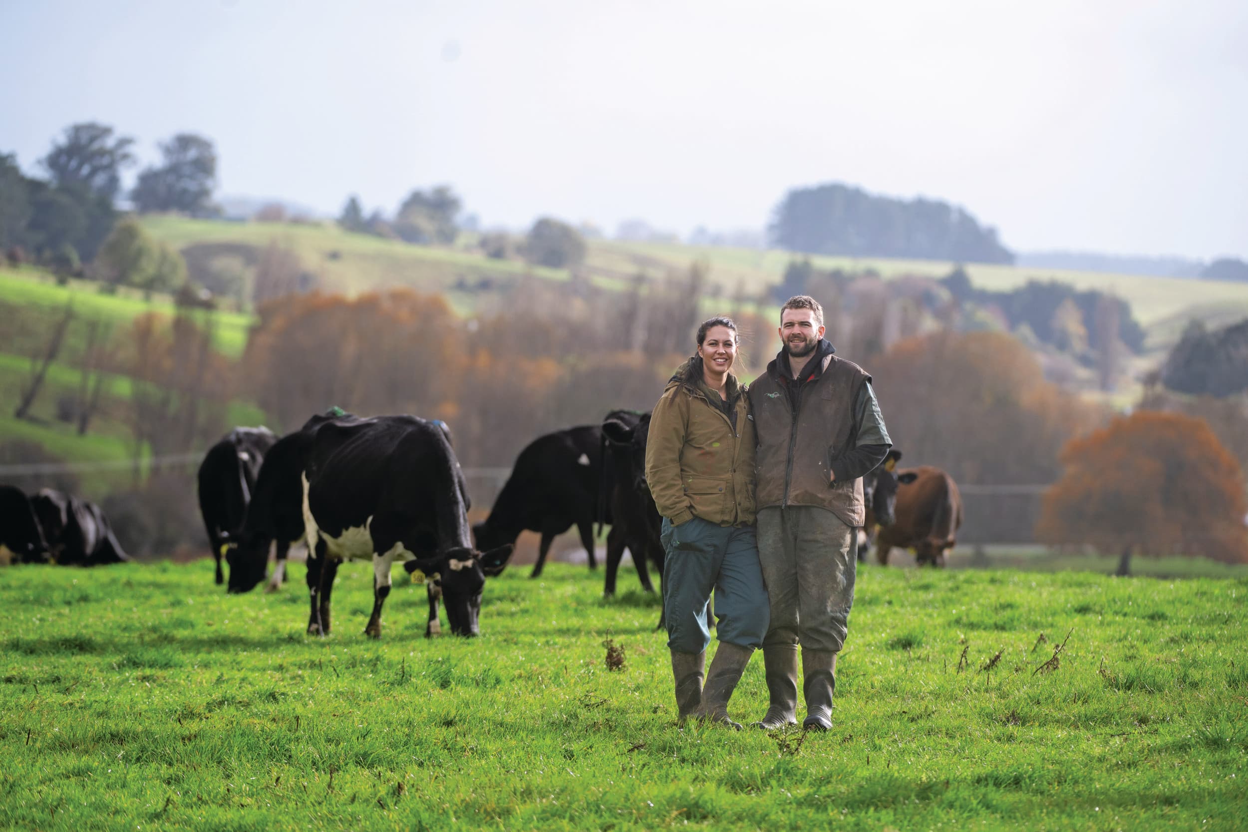 sharemilken melkveehouderij Nieuw-Zeeland