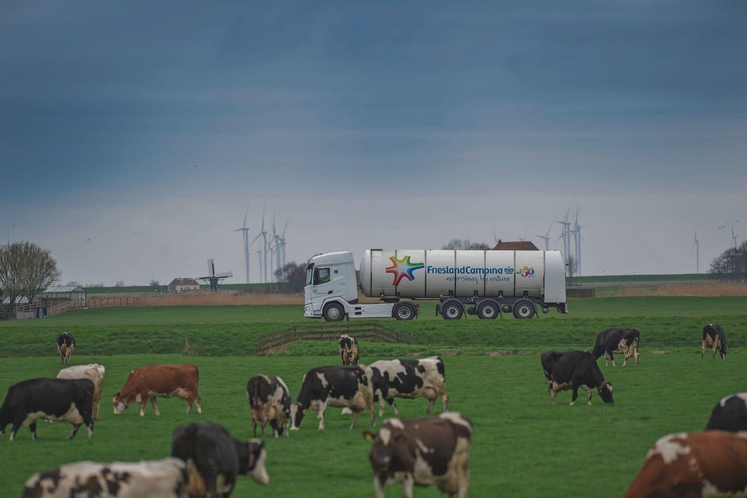 RMO frieslandcampina