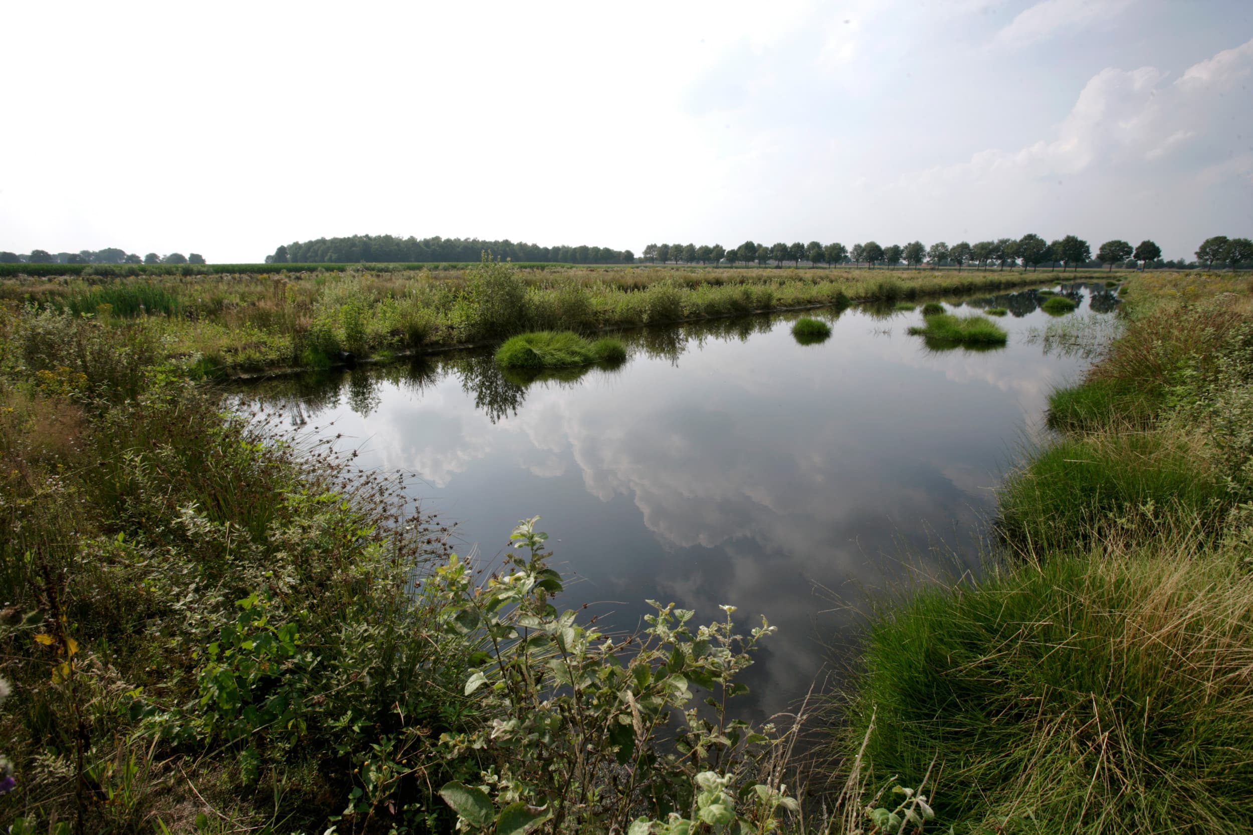 RIVM verwacht dat het huidige beleid niet voldoende is om de doelen van de Nitraatrichtlijn te halen, met in 2027 nog problemen in de kwaliteit van oppervlaktewater en te hoge nitraatconcentraties op lössgrond. Foto: Michel Zoeter