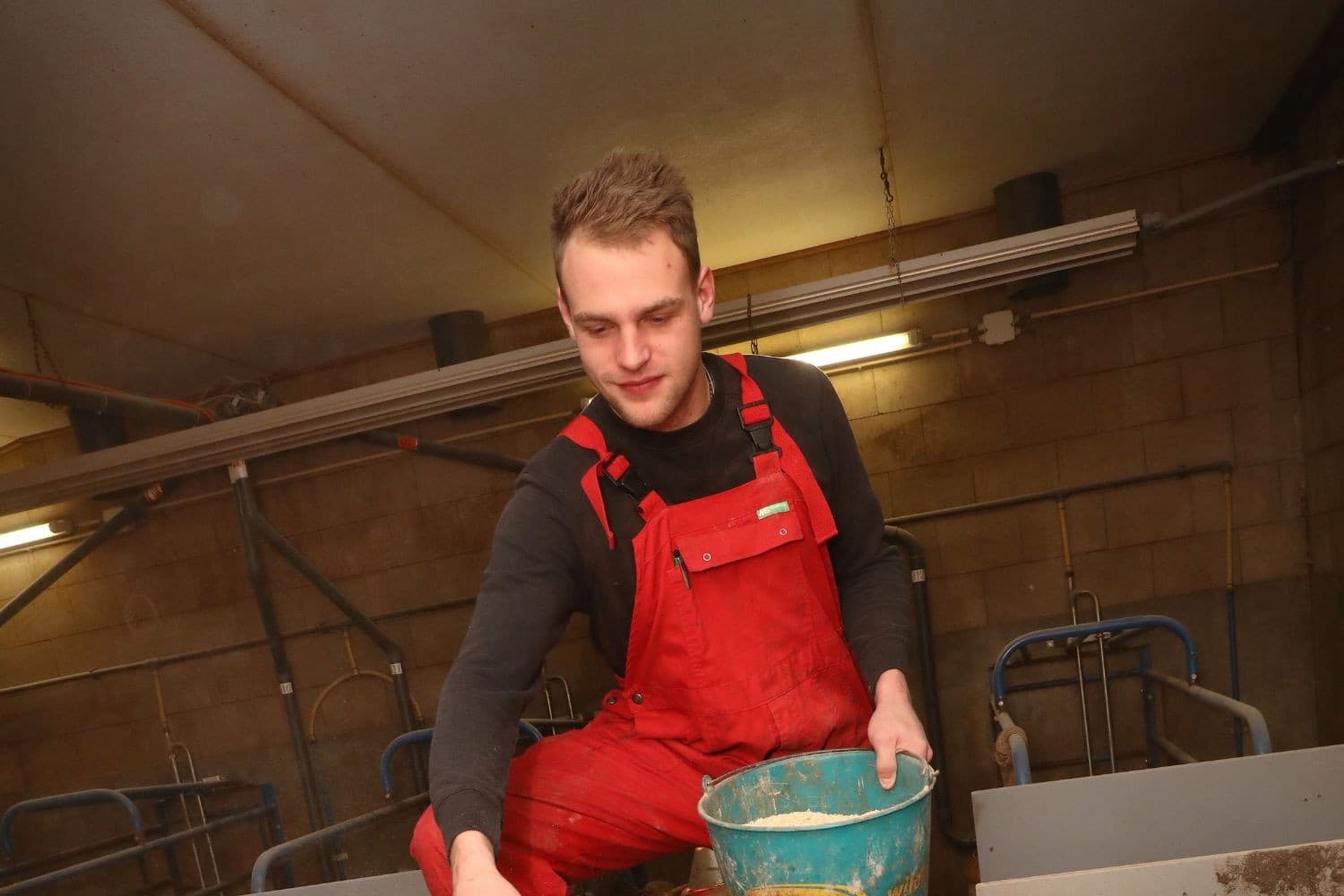 Tim Steintjes (22) denkt na over investeringen in dierenwelzijn en duurzaamheid op het varkensbedrijf van zijn vader. Foto’s: Henk Riswick