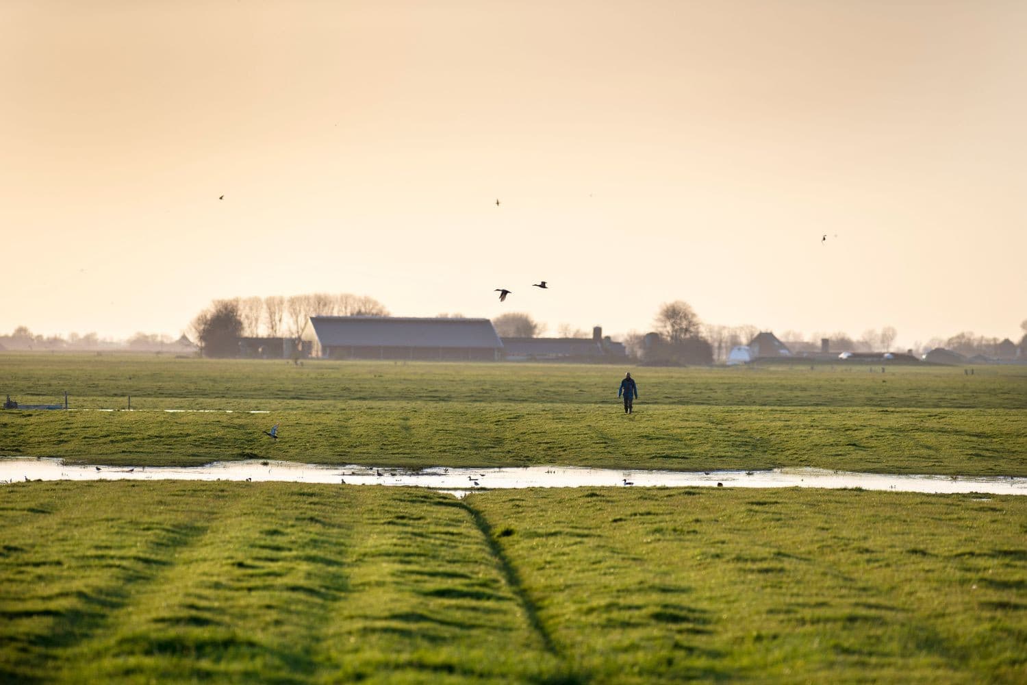 Foto: Mark Pasveer