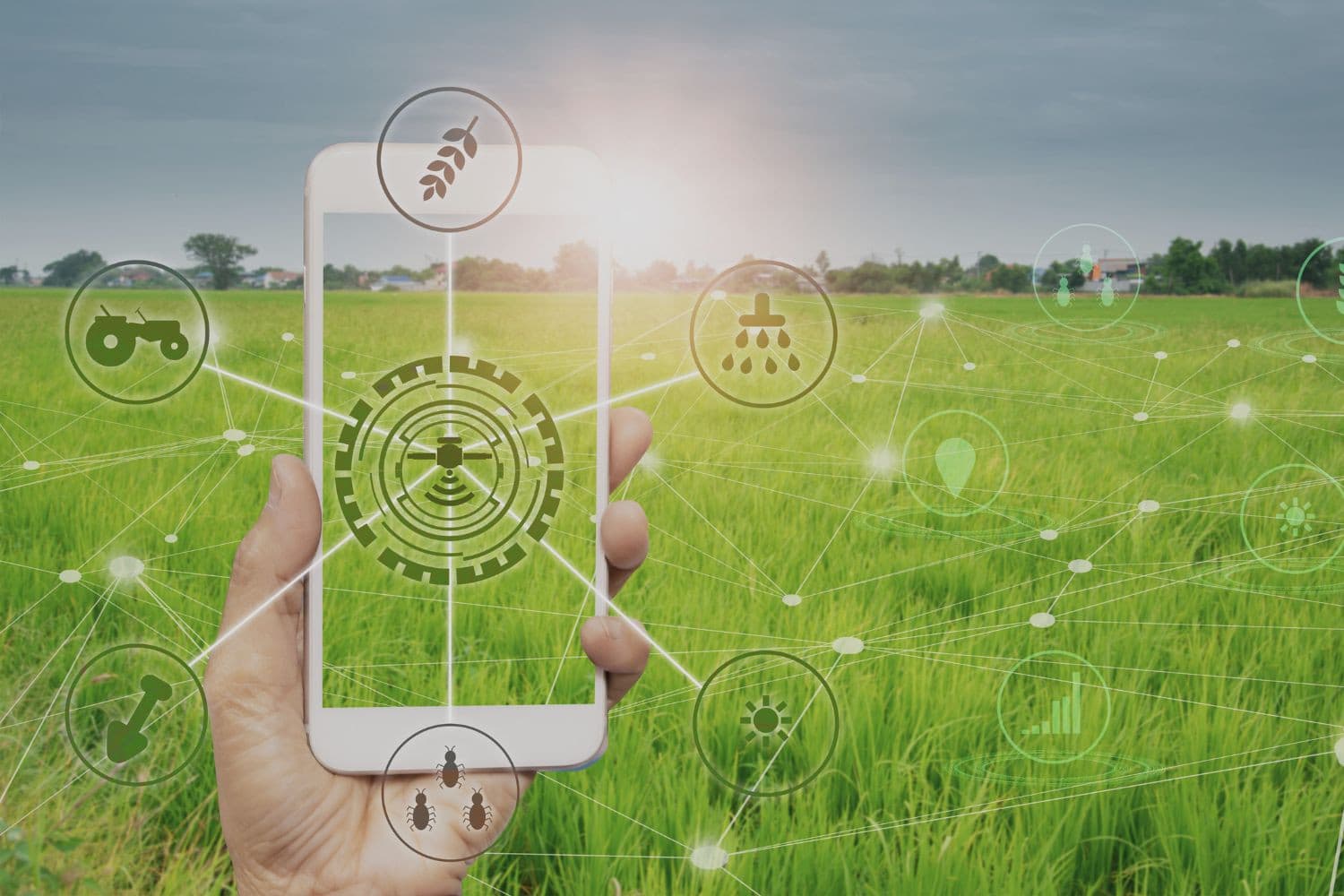 Columnist Janny Peltjes: “Een robuuste landbouw blijft de basis van onze samenleving. De kennis, technologie en visie voor klimaatneutrale kringlooplandbouw zijn er al. Nu de politiek nog.”
