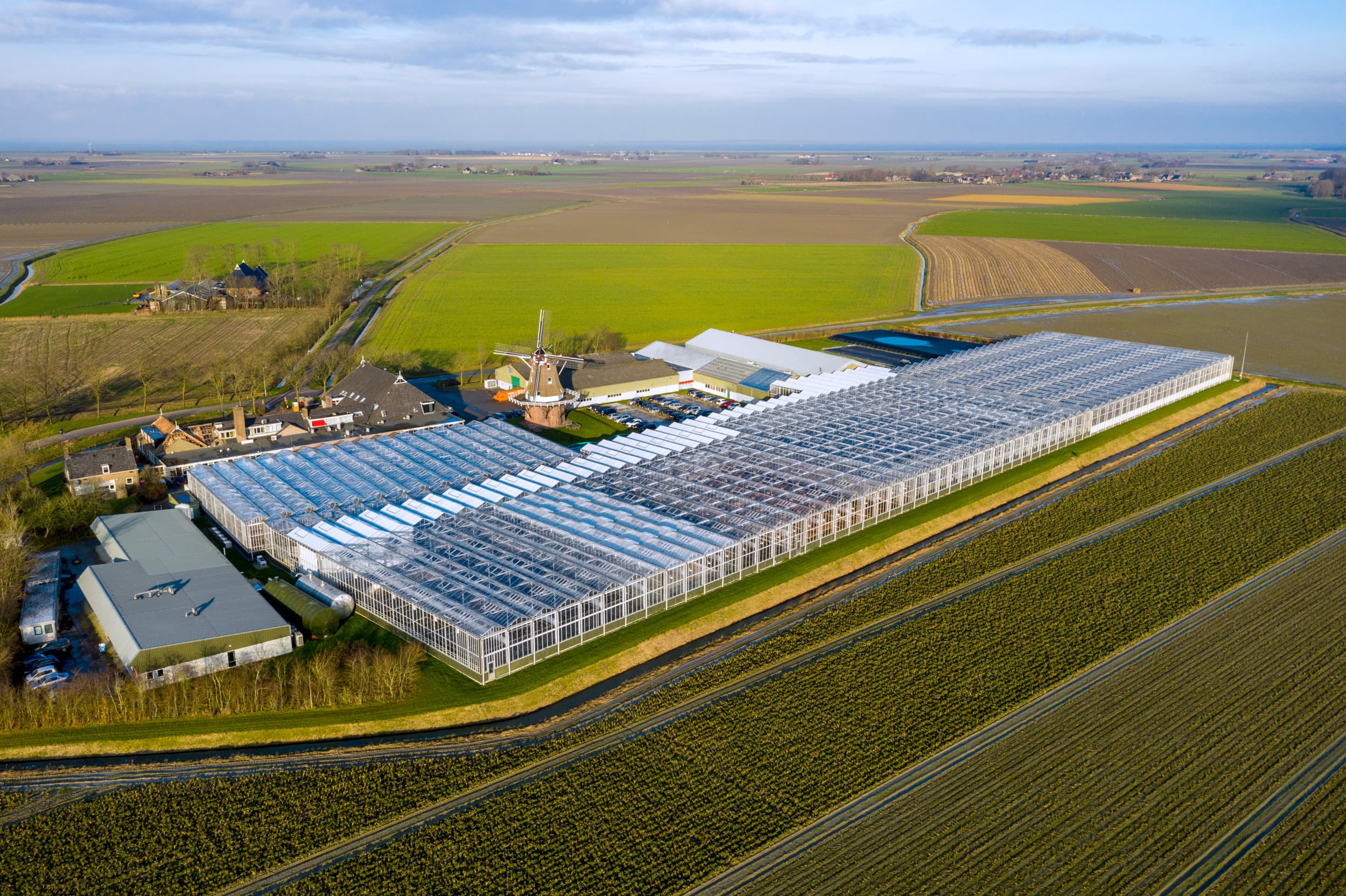 HZPC kweekbedrijf in Metslawier.De nieuwe prognoseprijs van HZPC is opnieuw een record. Foto: Ruud Ploeg