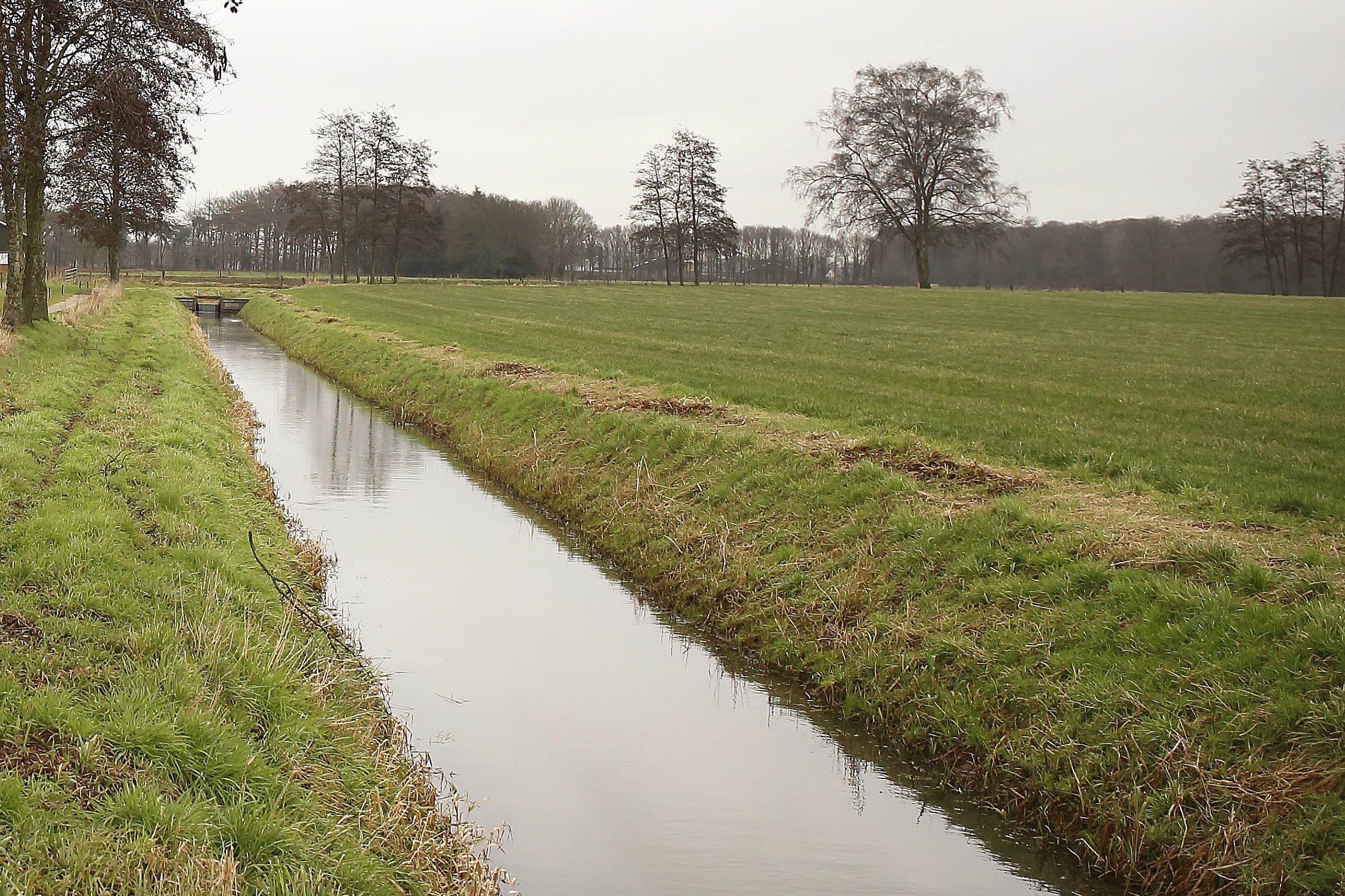 Afbeelding ter illustratie, het coulissenlandschap rond Aalten in de Gelderse Achterhoek. Foto: Hans Prinsen