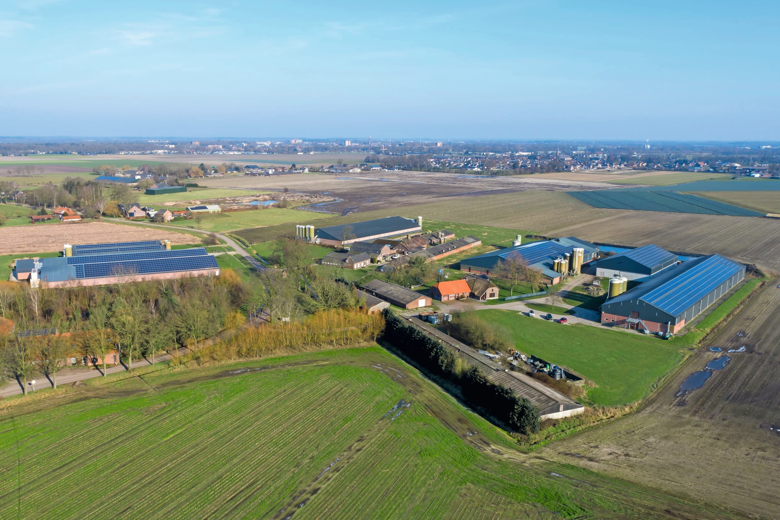 Op de voorgrond rechts de pluimveestal van Van Kempen. Aan de overkant van de weg is de vleesvarkenslocatie. In het hele gebied is over twee jaar geen veehouderijbedrijf meer over. De sanering van varkensbedrijven in Venray leidt tot een forse krimp van de sector. Foto: Bram Becks