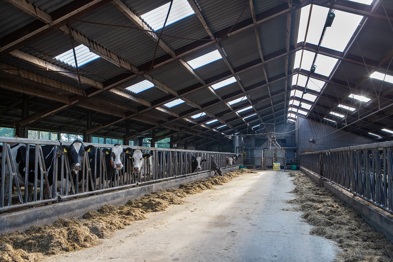 Investeren in uw binnenklimaat levert meer op dan u denkt. Foto’s: Middendorp Montage
