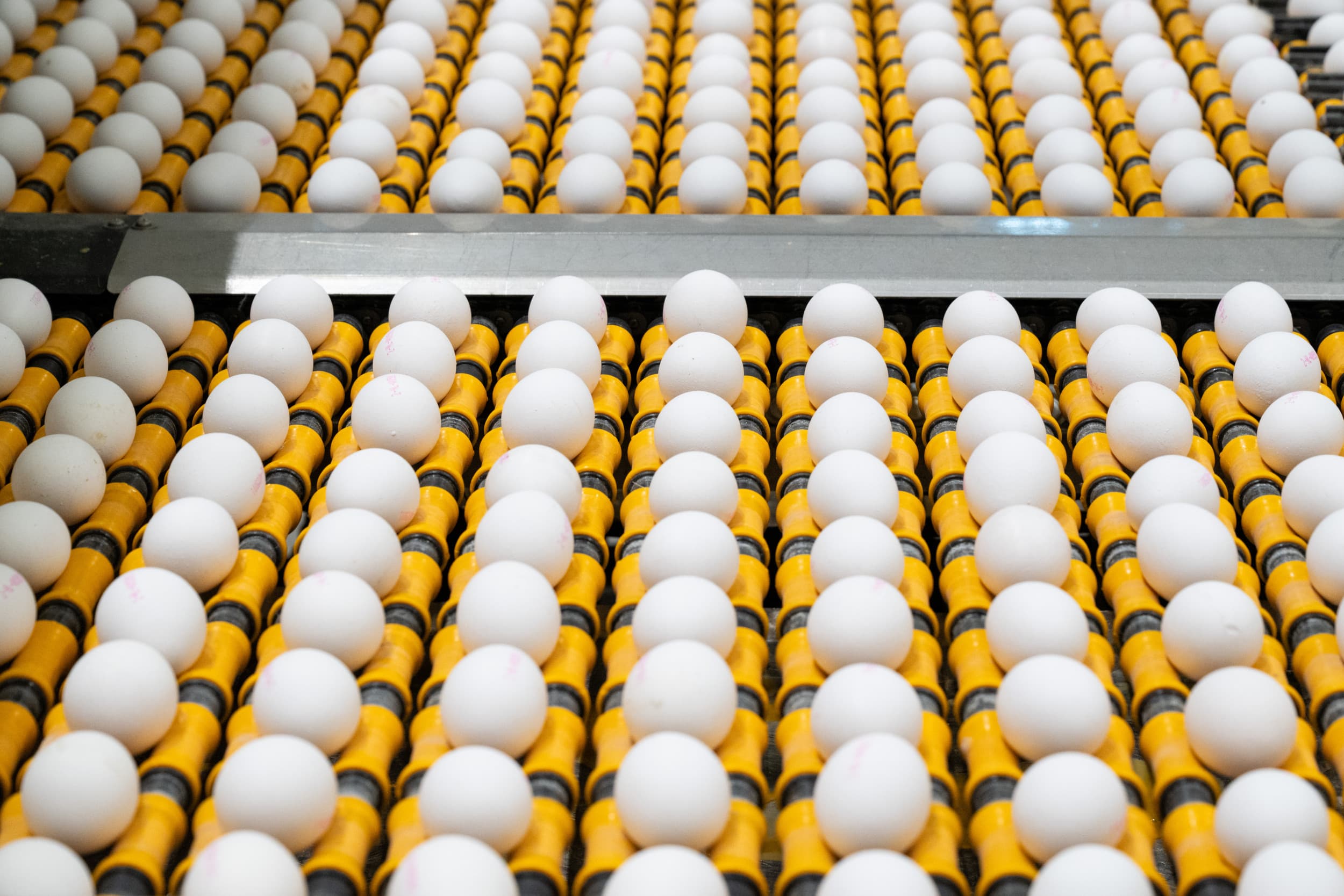 Foto: Cor Salverius