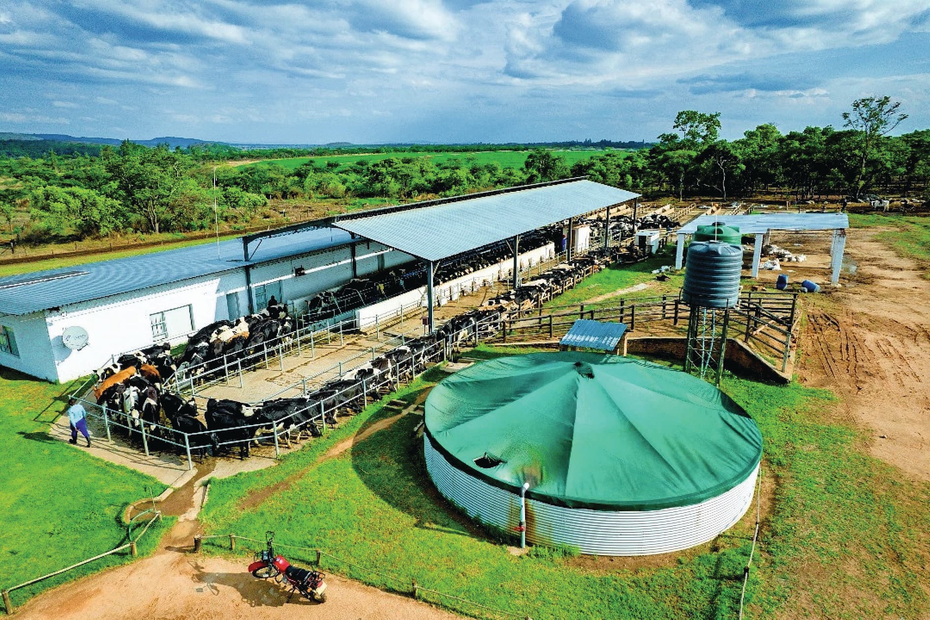 De 1.400 melkkoeien van Mafuro Farming lopen jaarrond op de weiden. De gebouwen bestaan uit een wachtruimte en, op deze locatie, een 2x30 swingover melkstal. Foto’s: Mafuro Farming.