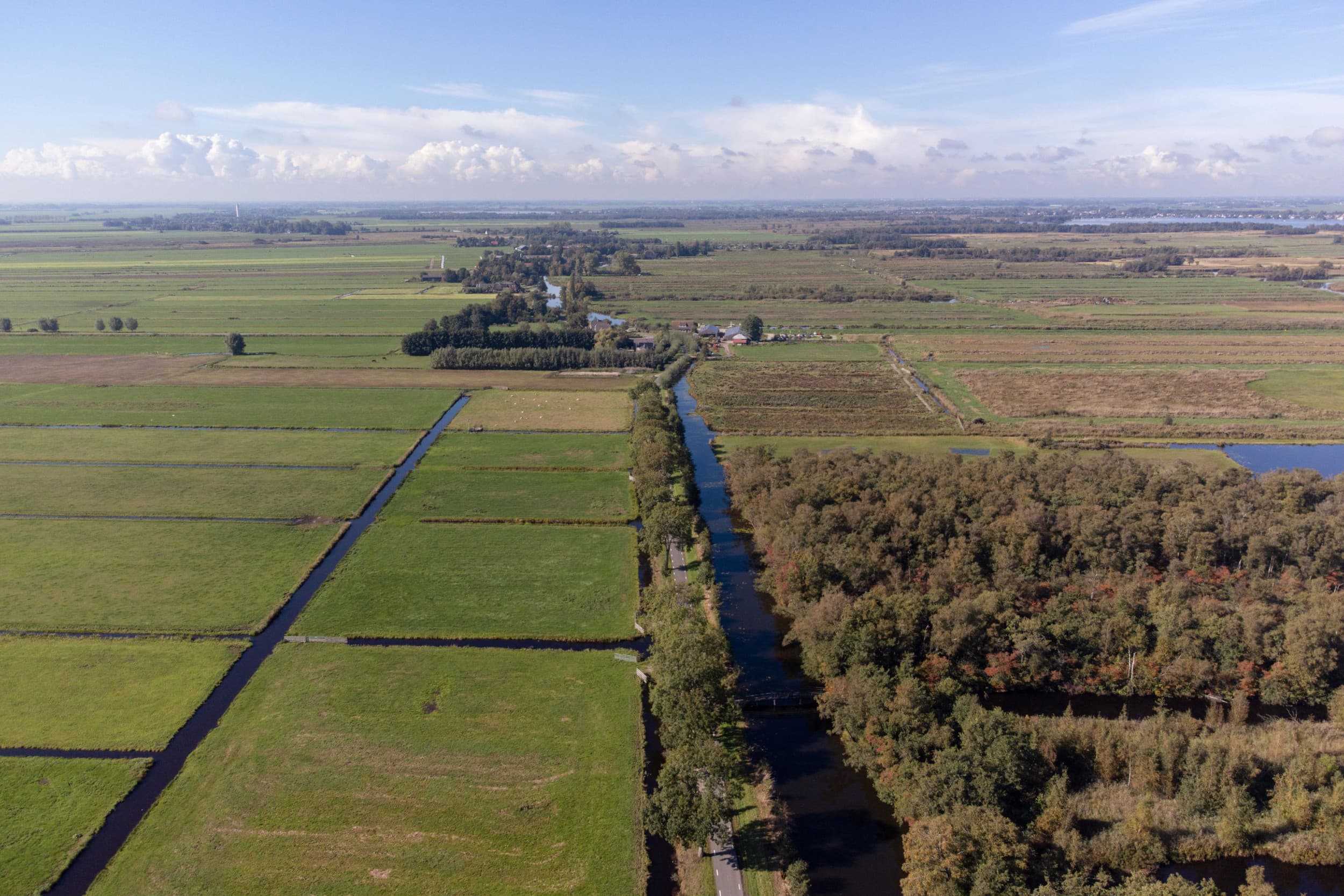 De stikstofuitscheiding daalde in 2024 met 3% naar 449 miljoen kilo, terwijl de fosfaatuitscheiding vrijwel gelijk bleef op 148 miljoen kilo, meldt CBS. Foto: Herbert Wiggerman