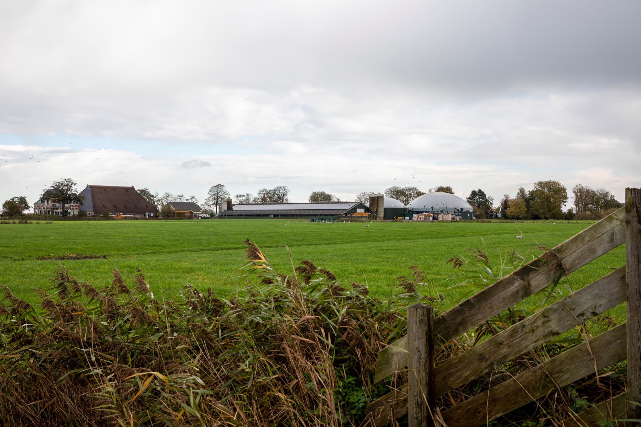 FrieslandCampina investeerd niet in mestverwerking
