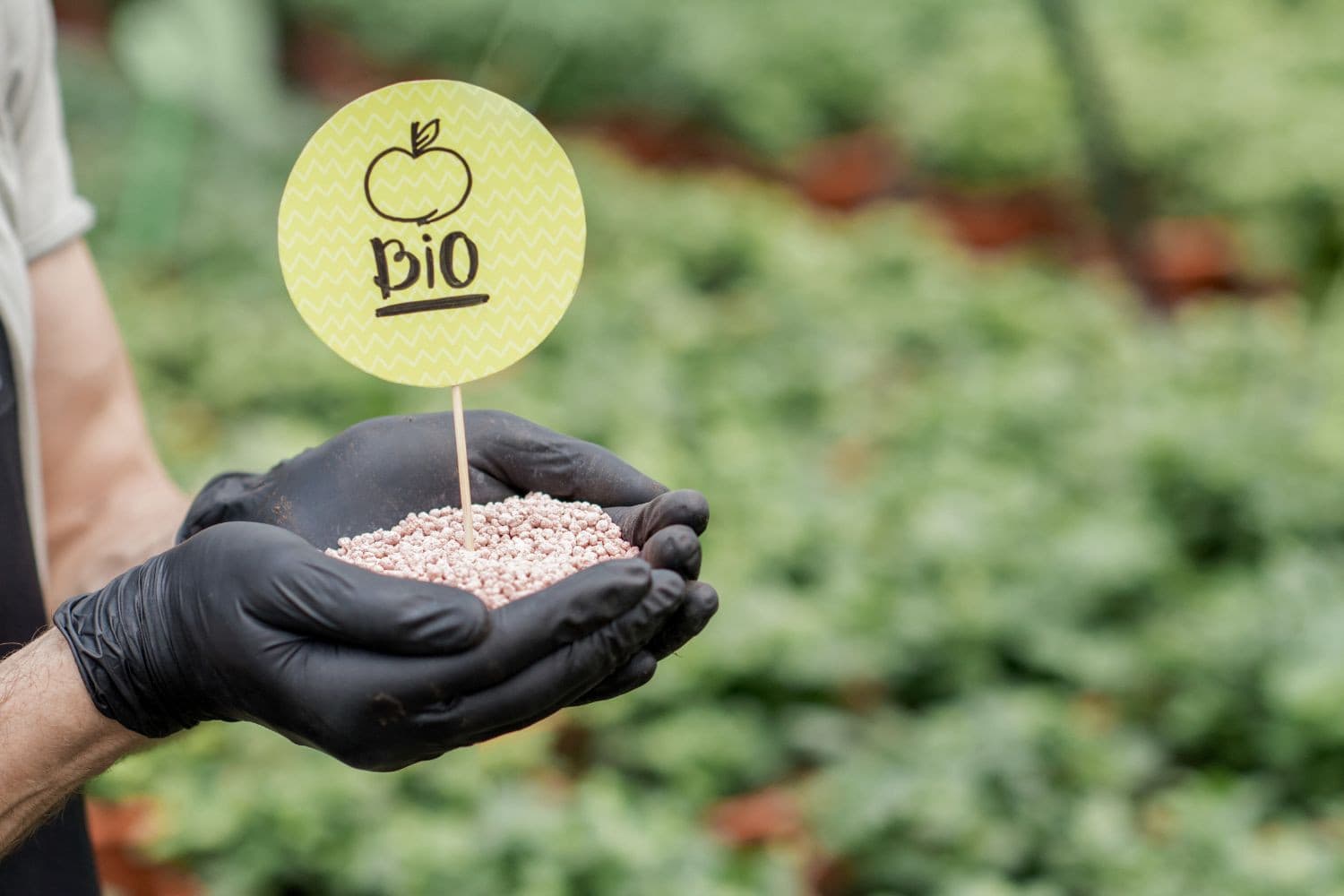 De afgelopen jaren is het aanbod van biologische meststoffen sterk toegenomen. Foto: Canva