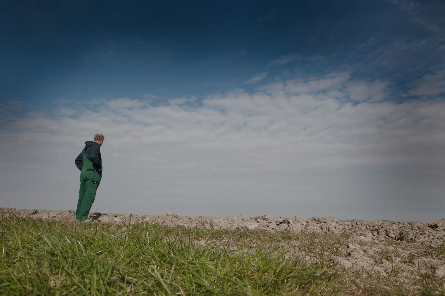Boeren verliezen steeds meer grond, wat leidt tot een kaalslag in de sector. Foto ter illustratie. Foto: Mark Pasveer