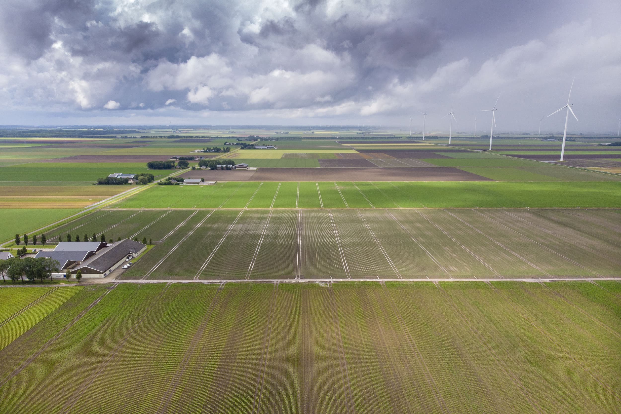 lagere pachtprijzen Flevoland