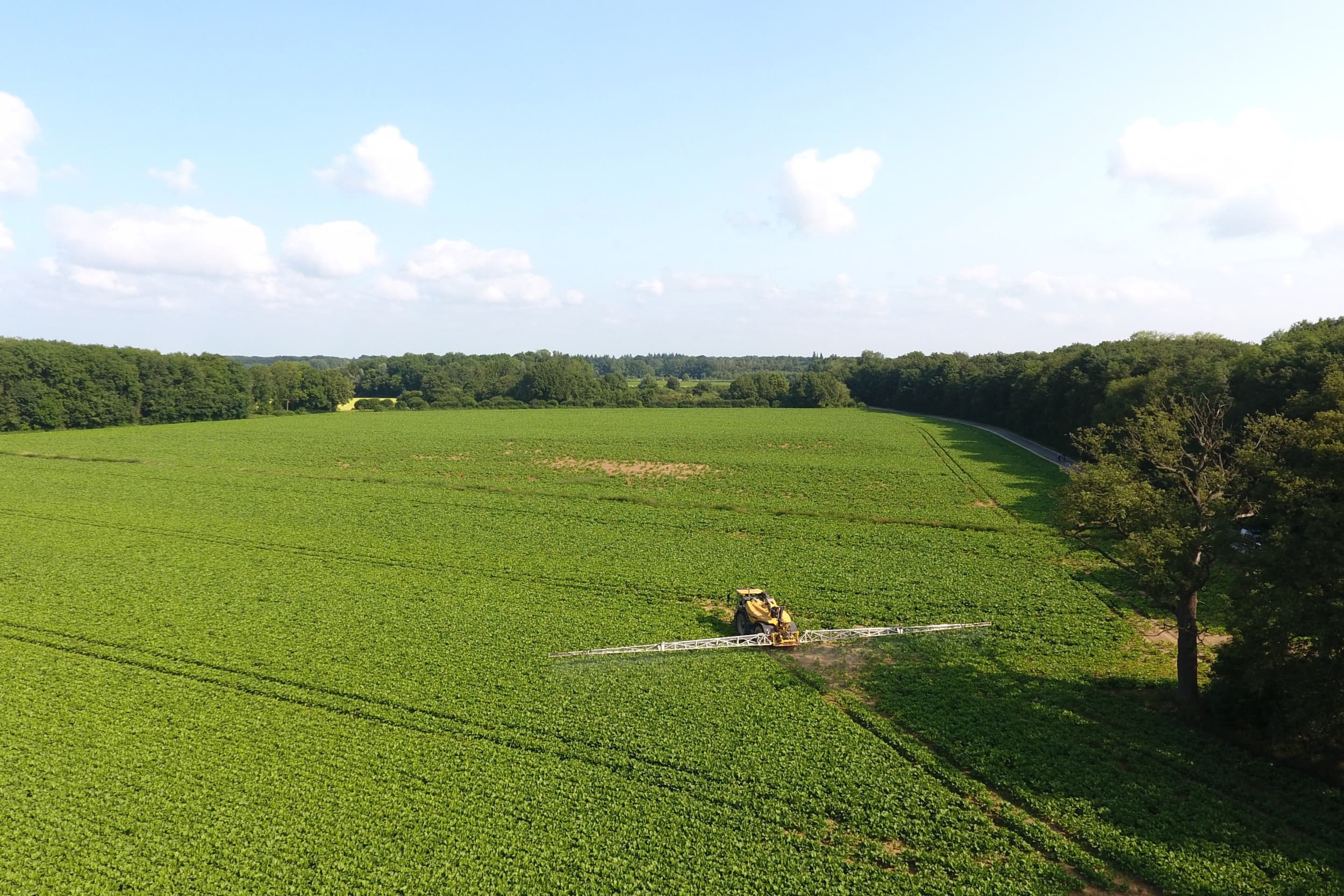 Spuiten van suikerbieten tegen bladschimmels in de zomer; betere naleving van voorschriften kan de milieuwinst vergroten, stellen experts. Foto: Henk Riswick