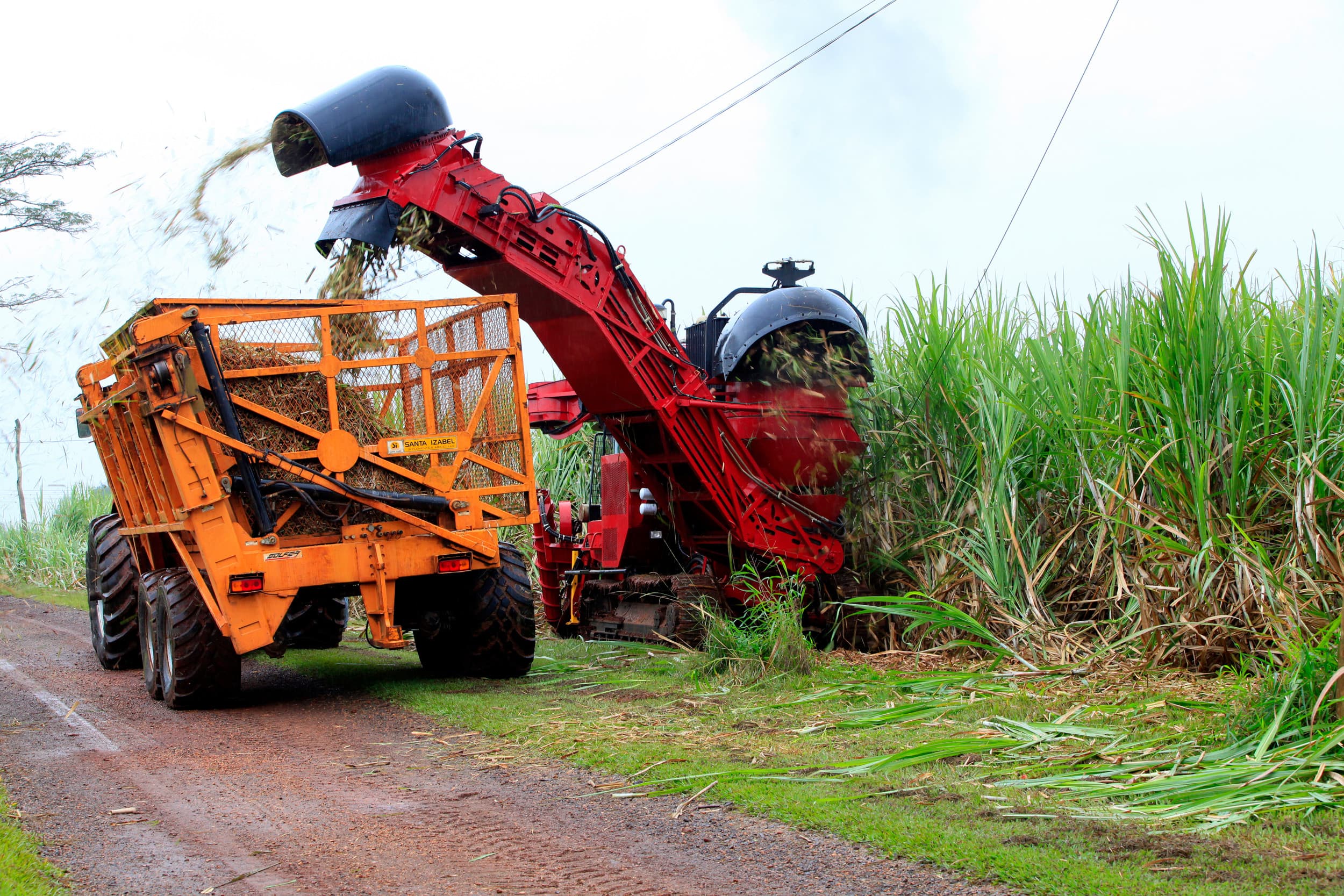 export fritesaardappelen België naar Brazilië