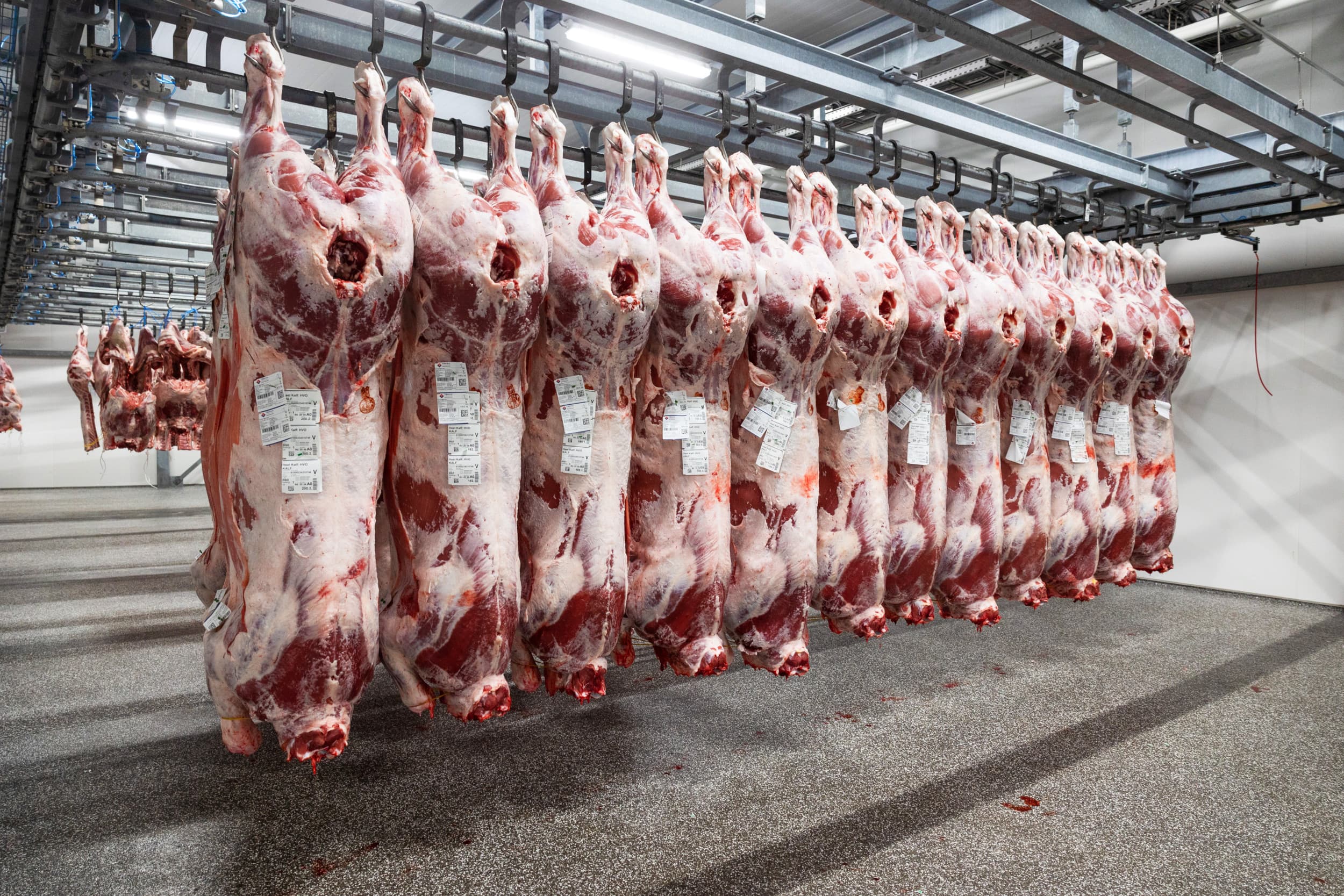 Door de integratie van KDS in de NVWA zullen de toeslagen voor extra of uitgelopen werkzaamheden op een uniforme manier worden berekend. Foto: Herbert Wiggerman