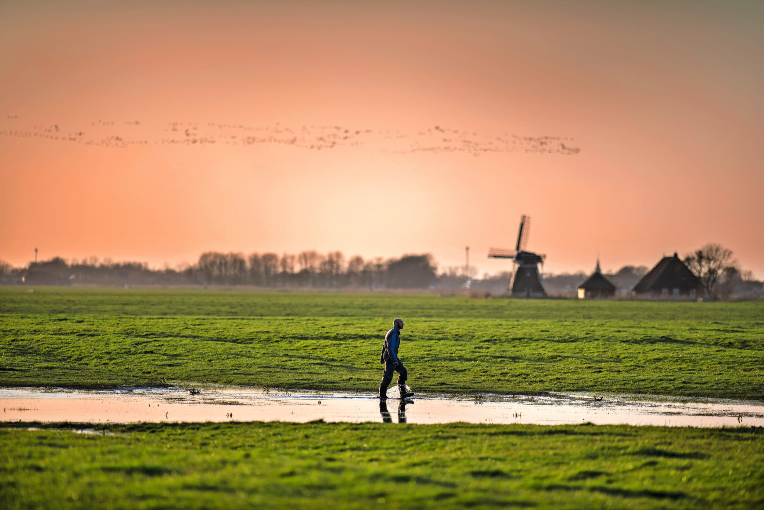 Het NPLG is dood, leve de bottom-up boerenenergie. Boeren in gebieden werken samen om opgaven op te pakken. Vertaald in gebiedsoffertes met als belangrijkste doel om geld te genereren. Foto: Mark Pasveer