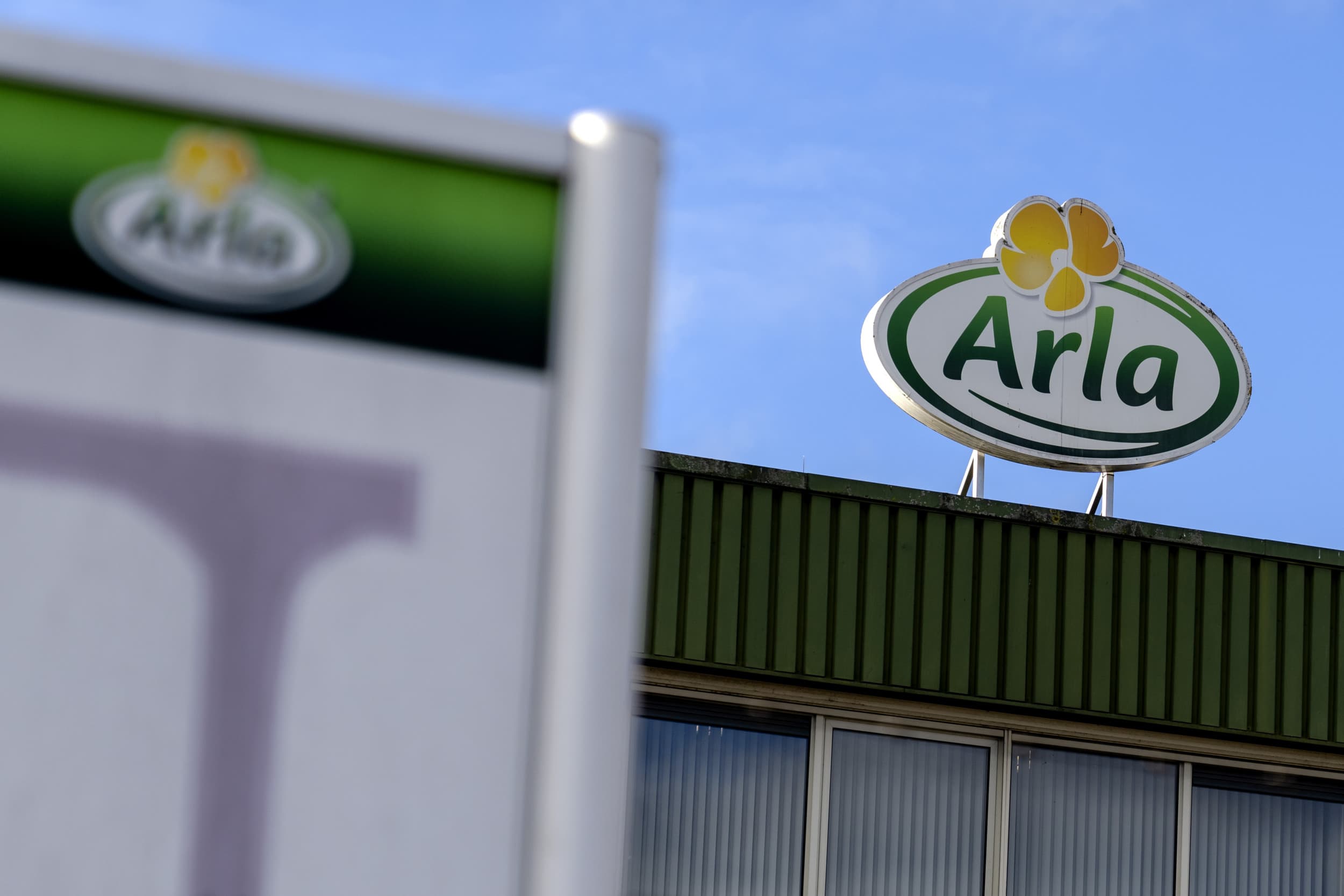 Arla Foods zoekt Nederlandse melkveehouders die onder de vlag van Natuur & Boer-keurmerk willen leveren. Foto: ANP