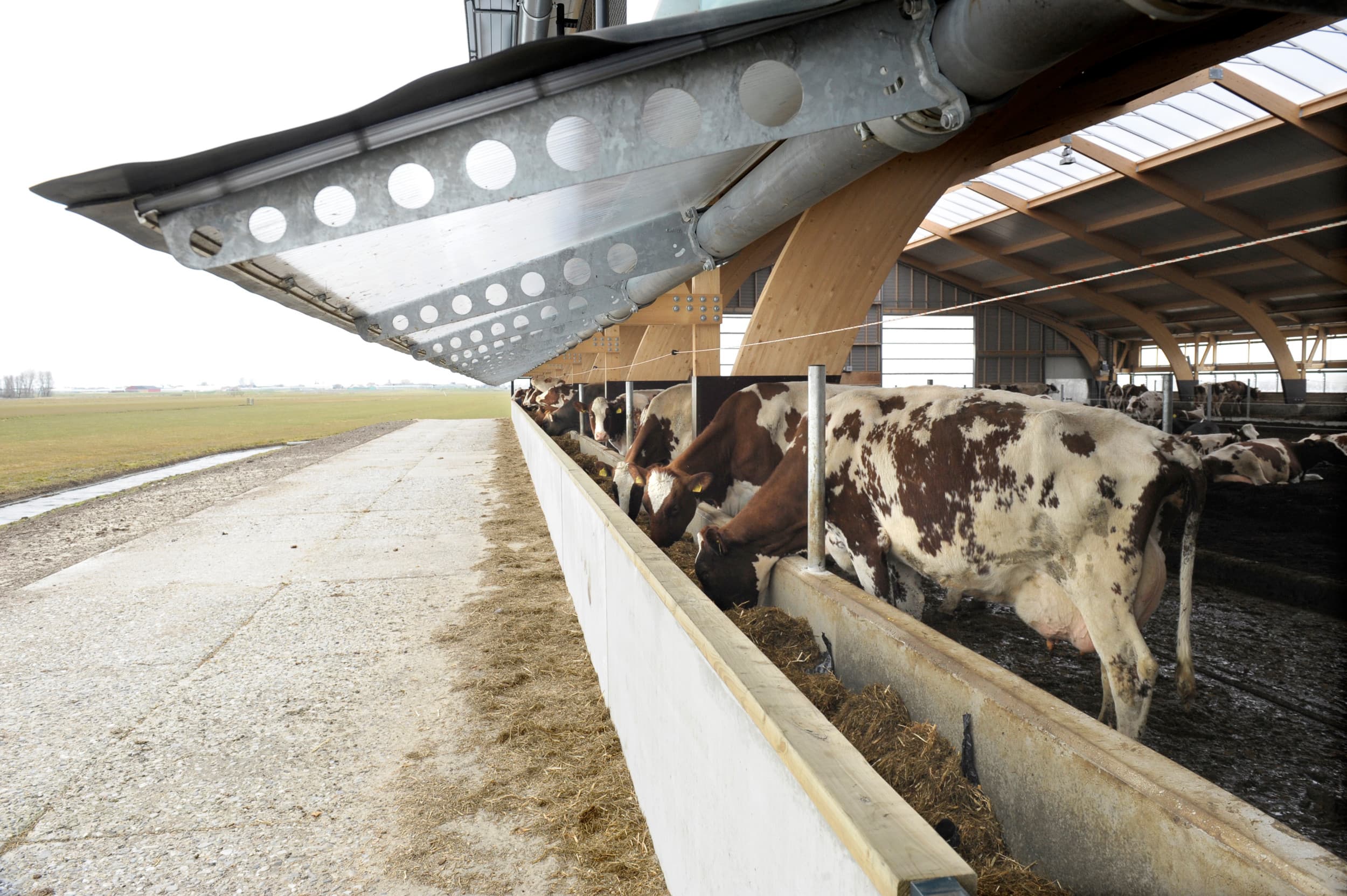 Volgens de Kamerleden zijn deze kengetallen nu al goed meetbaar en kunnen ze melkveehouders ondersteunen bij doelsturing en het verlagen van de stikstofuitstoot. Foto: Roel Dijkstra