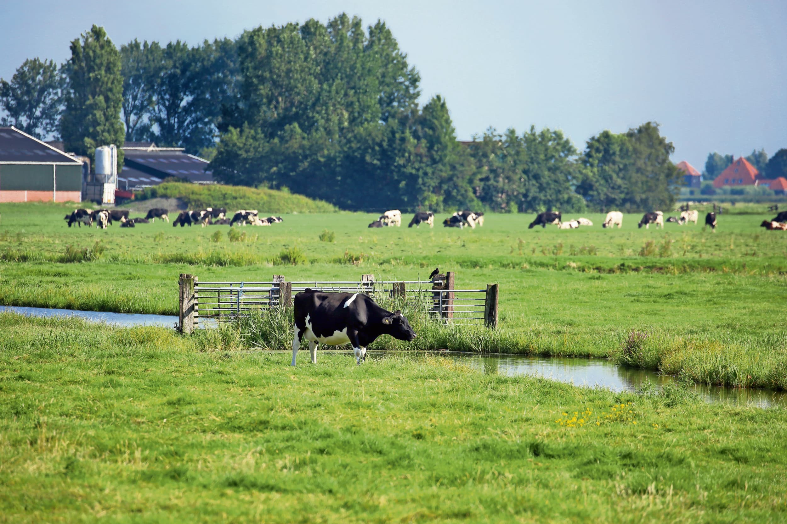 Noord-Brabant latente stikstofruimte