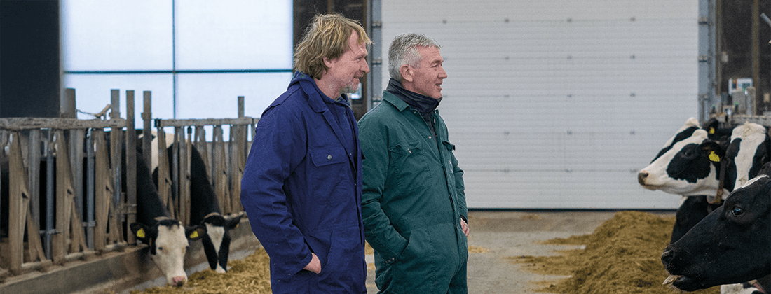 Verkuijlen behaalt in december 2024 een voerwinst van maar liefst €13,54