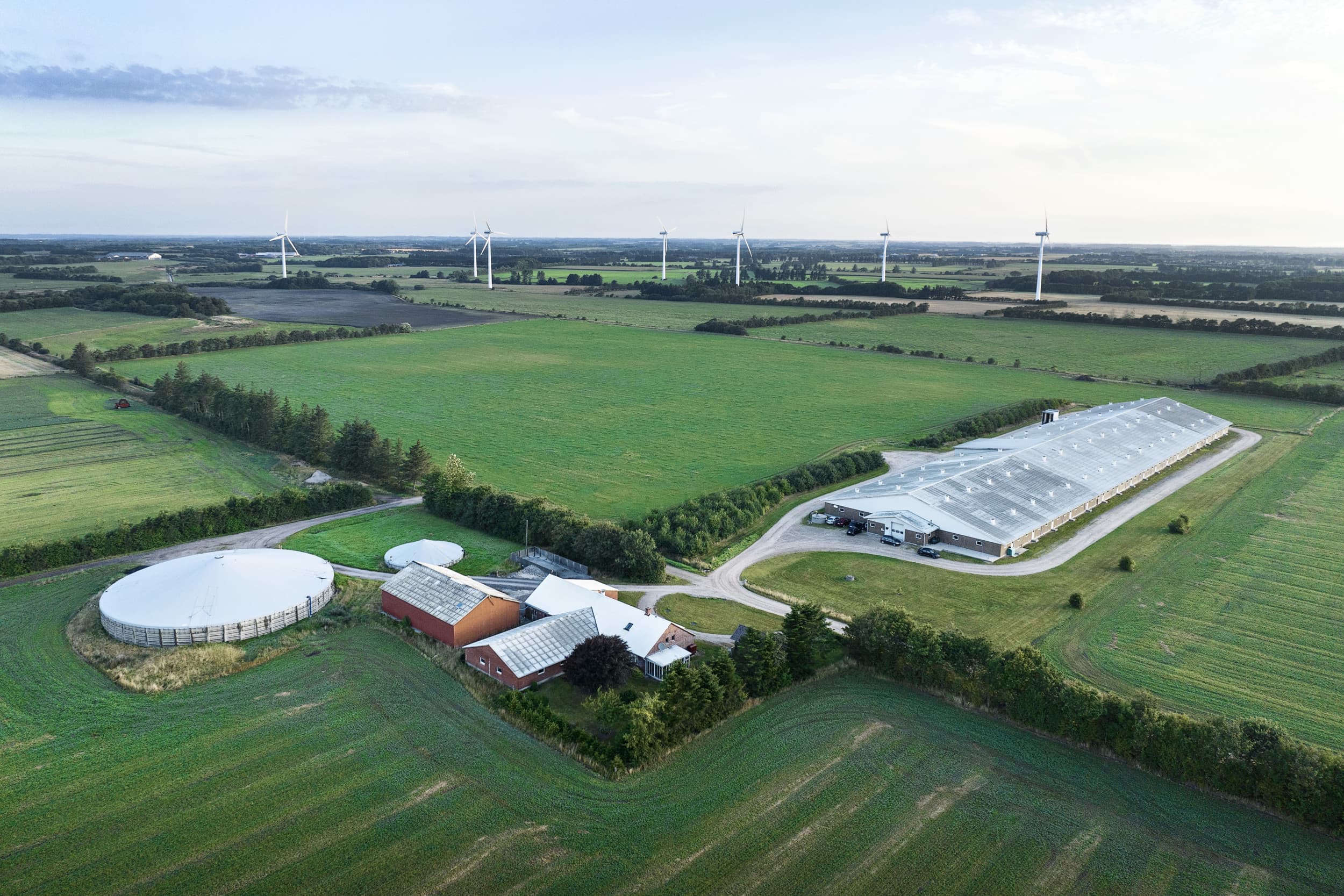 co2 belasten en stikstof reduceren in Denemarken