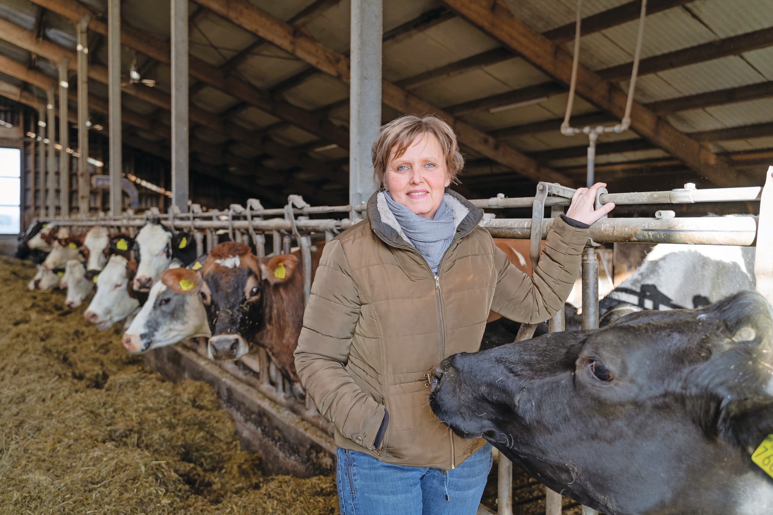 Willeke Boersma-Jonkman is´deeltijd-boerin´ en werk twee dagen per week als verpleegkundige. “Het scheelt dat ik hier op de boerderij ben opgegroeid. Mijn opa en vader waren hier melkveehouder.” Foto’s: Andrea van Schaik