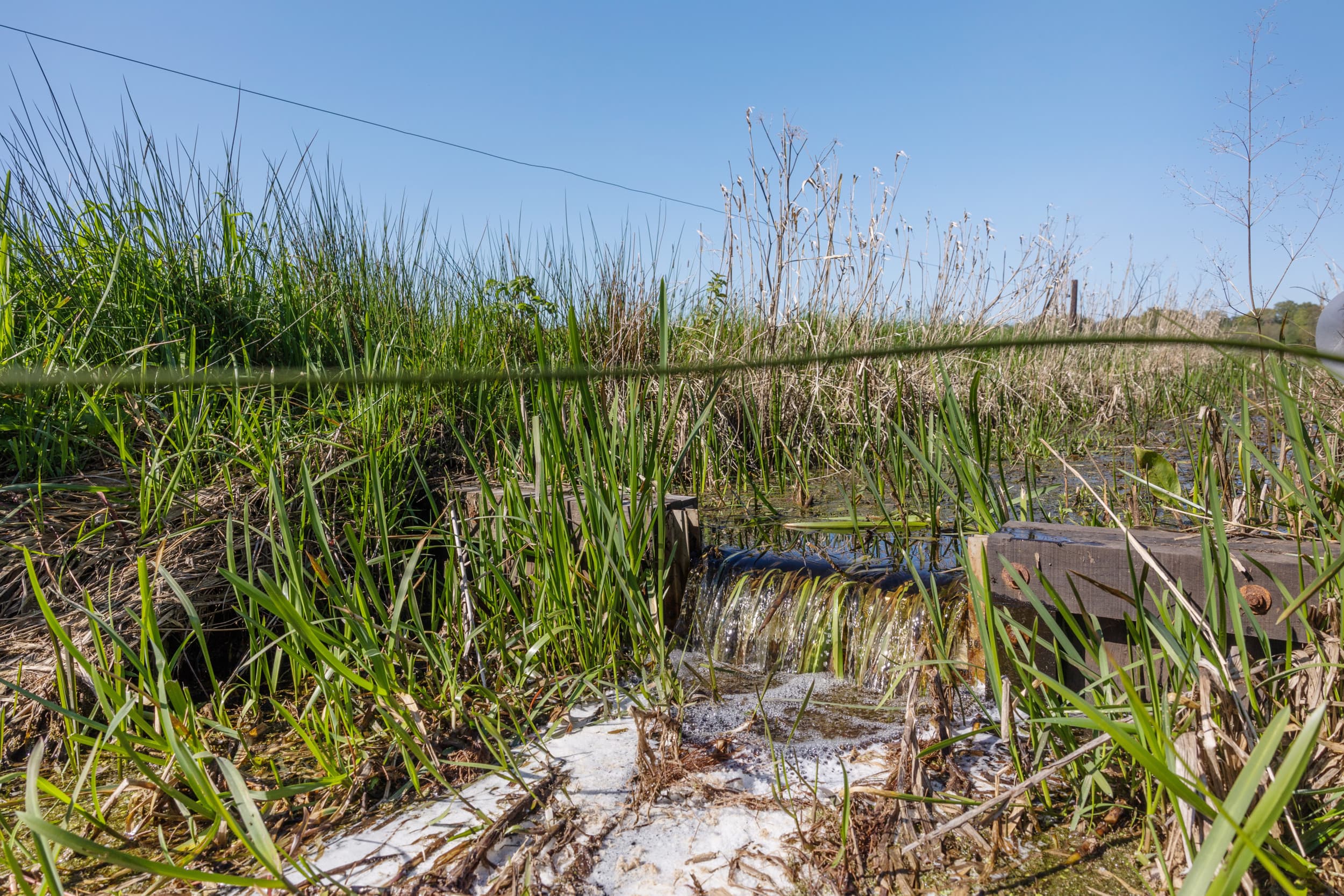 Doelsturing is een landbouwbeleid waarbij boeren zelf bepalen hoe ze opgelegde doelen voor stikstofreductie, klimaat en waterkwaliteit behalen, met meer vrijheid en innovatie. Foto: Herbert Wiggerman