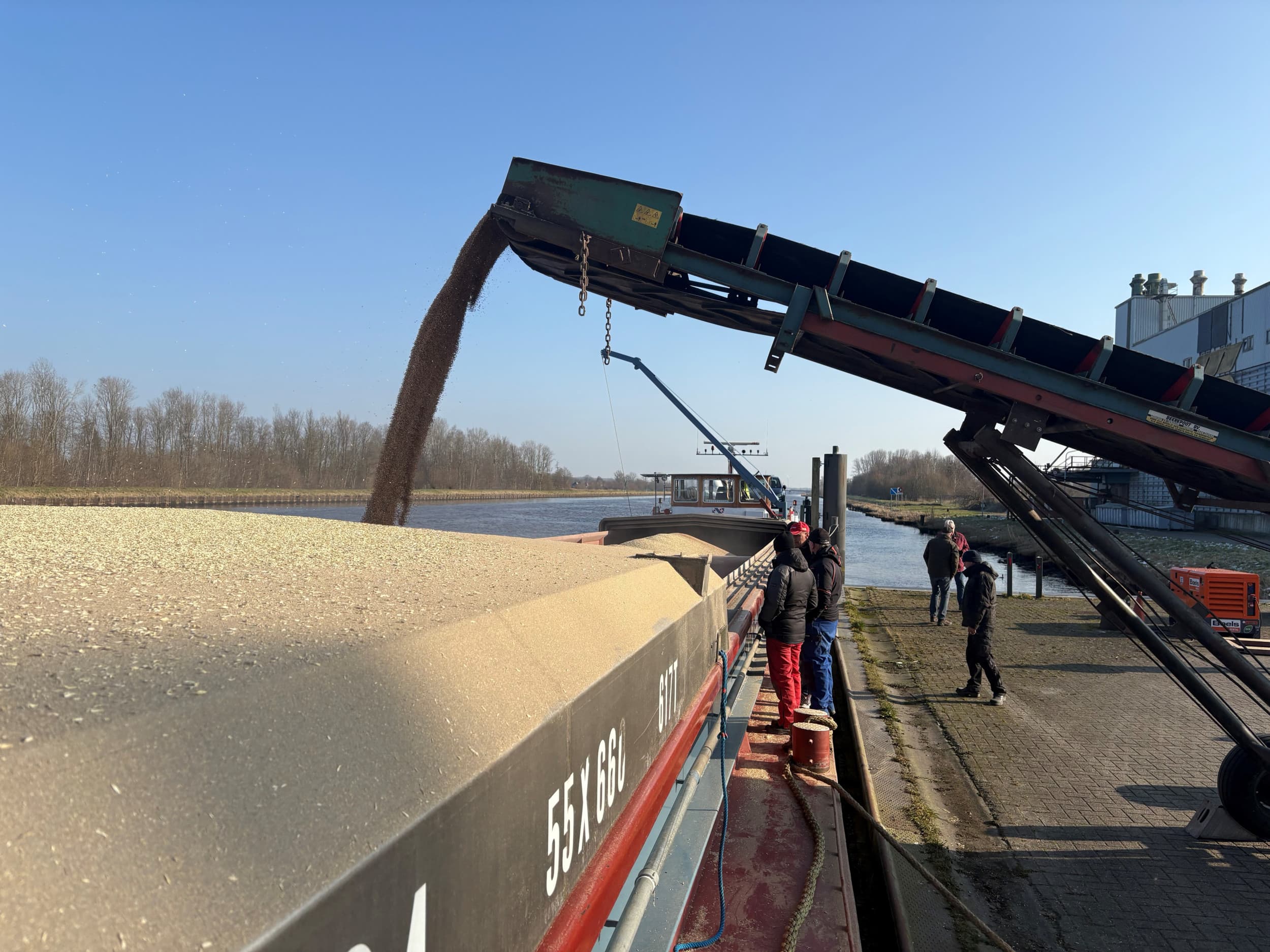 500 ton Groninger baktarwe wordt geladen in Appingedam, op 17 februari, bestemd voor Royal Koopmans in Leeuwarden. Foto: Derk Bosscher