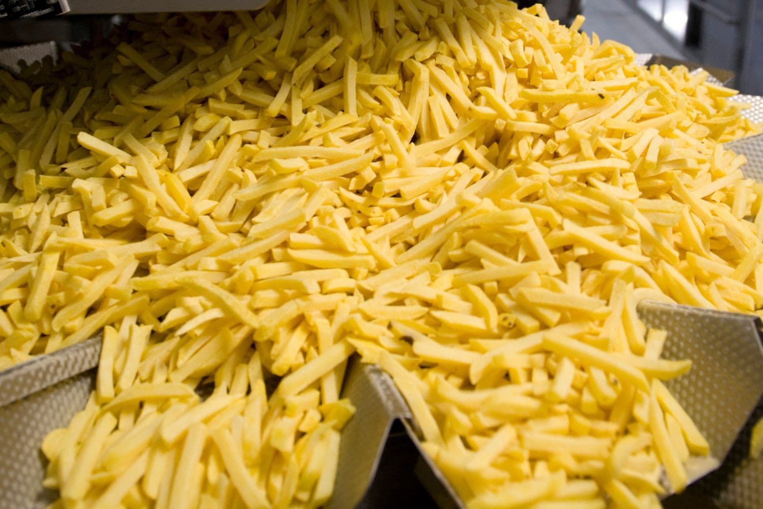 De uitgebreide fritesfabriek van Lamb Weston in Kruiningen verhoogt de productiecapaciteit met 195 miljoen kilo per jaar. Foto: Boerderij
