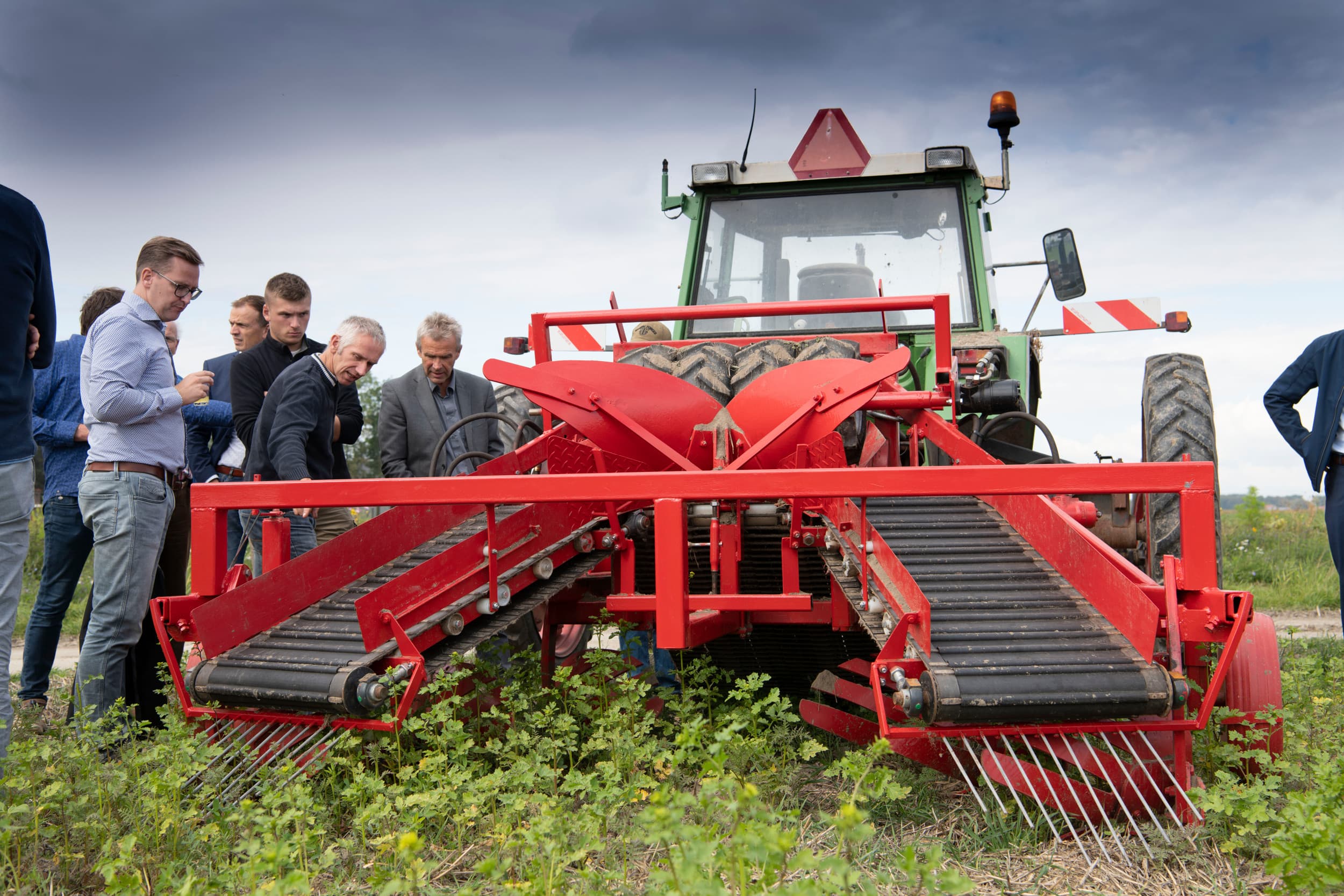 effect strokenteelt