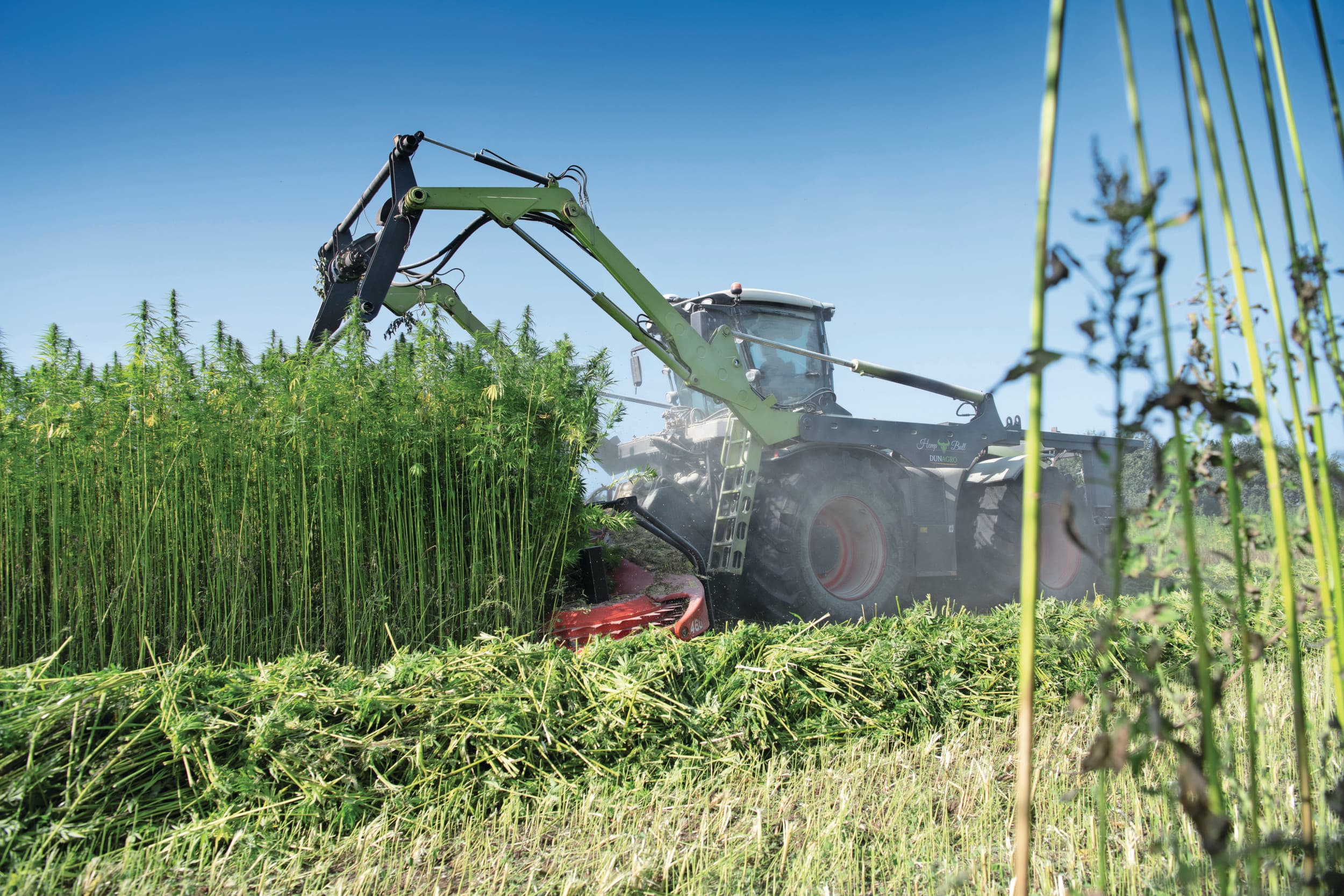 vezelgewassen biobased bouwen voorfinancieren