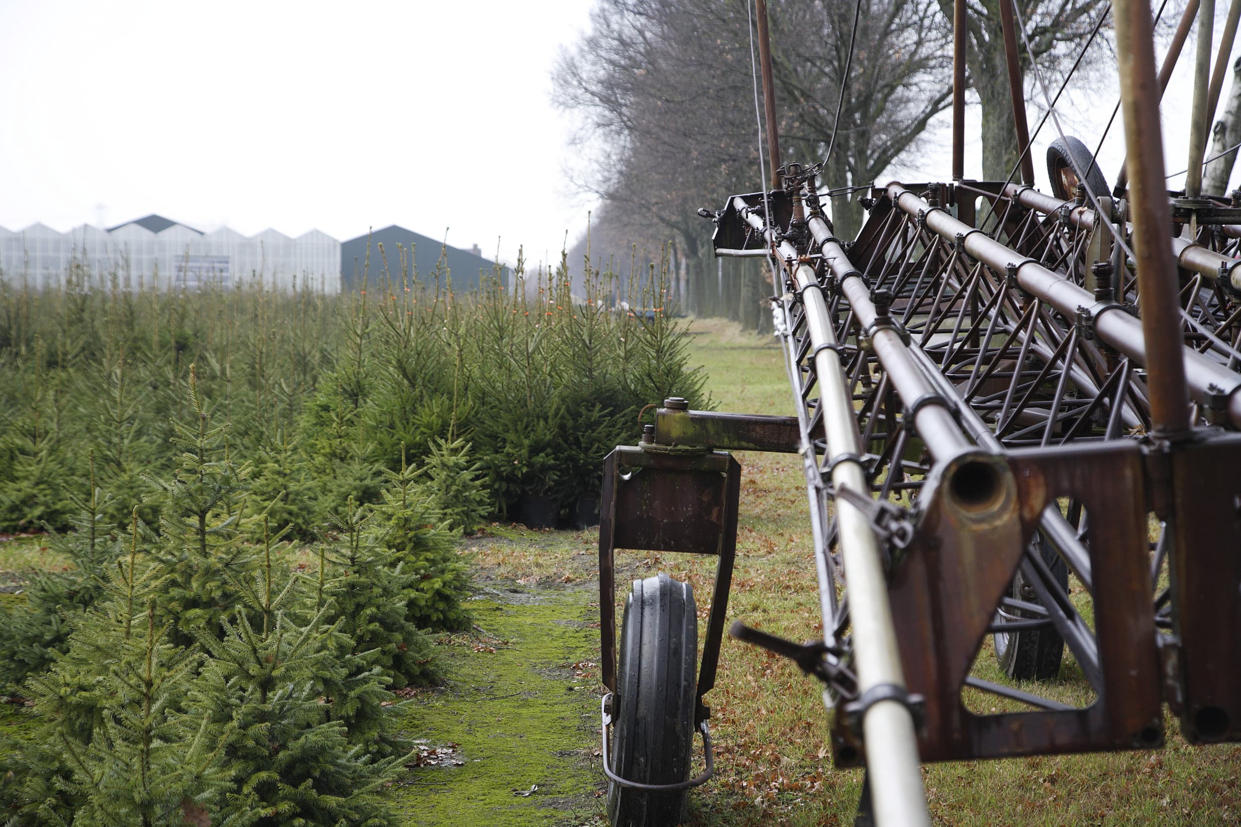 Het Waterschap Vallei en Veluwe waarschuwt dat het verdwijnen van grasland door stoppende veehouders en de komst van akkerbouw, bollenteelt en bomenteelt leidt tot verslechtering van waterkwaliteit en waterbeheer. Foto: Hans Prinsen