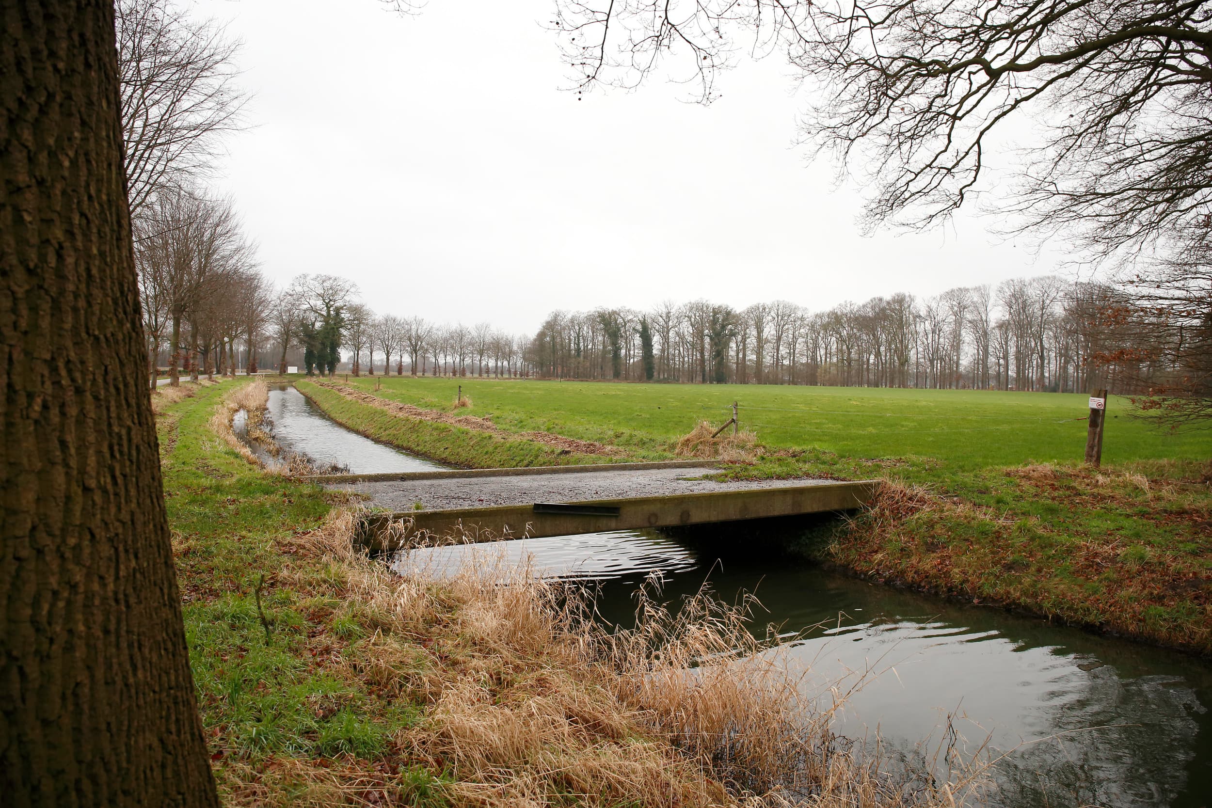 Landschap rond Aalten (Gld.). Foto: Hans Prinsen