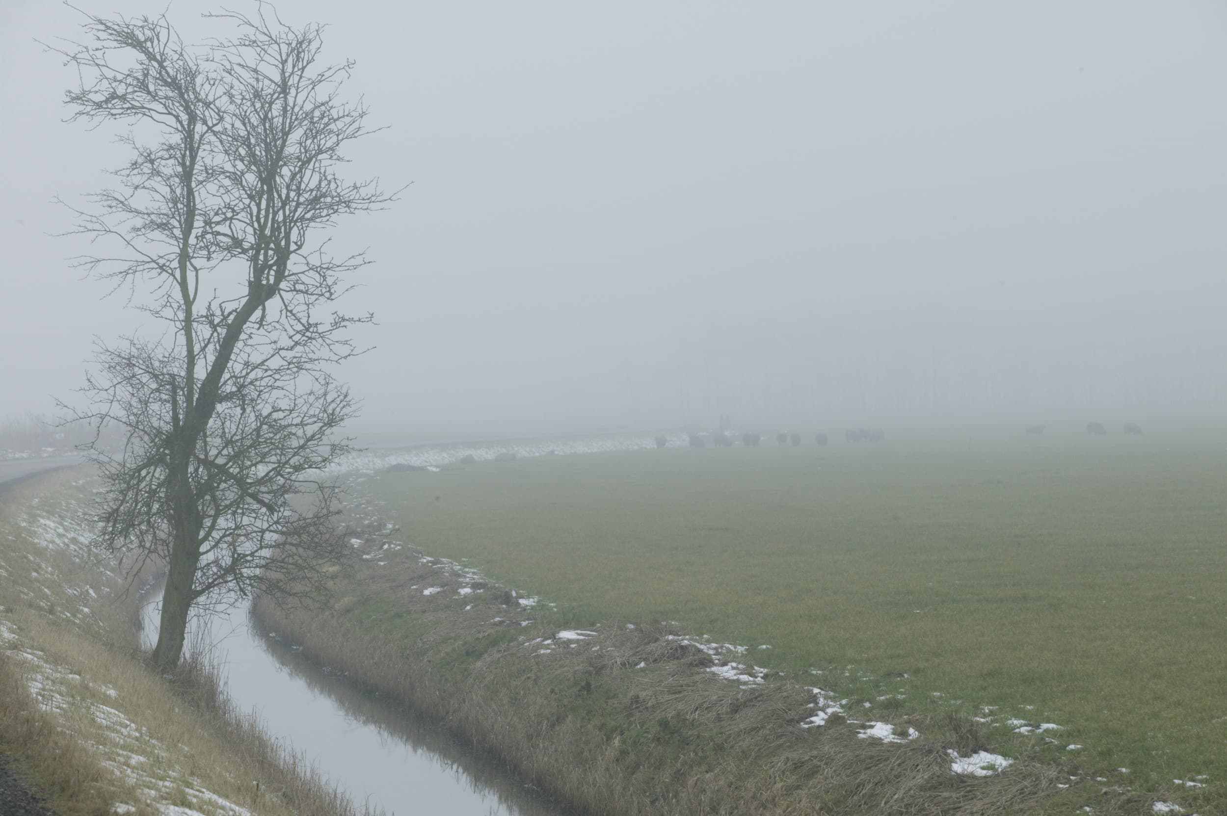 Waterschappen bieden het kabinet hulp bij stikstofaanpak en natuurherstel, nu vergunningverlening door recente rechterlijke uitspraken onder druk staat. Foto: Henk Riswick