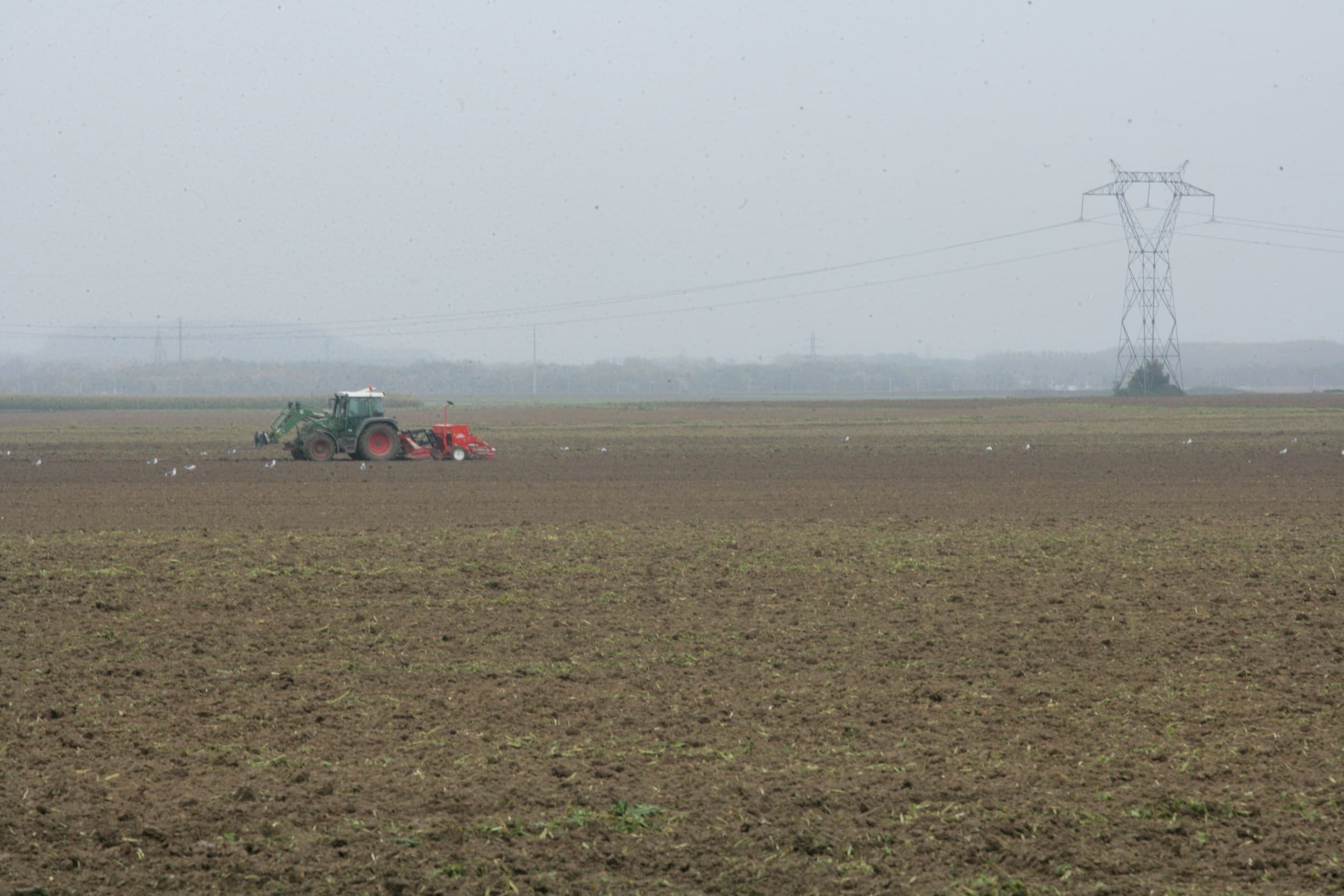 afzet suikerbieten Frankrijk