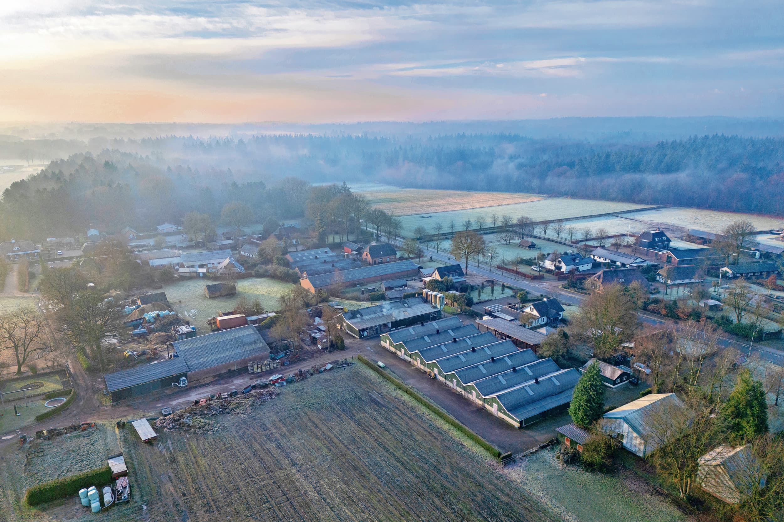 Natuur en landbouw op de Veluwe. LTO komt met een eigen stikstofplan. De organisatie ziet binnen Europese wetgeving veel juridische aanknopingspunten. LTO komt later nog met plannen voor een geborgde stikstofemissieafname. Foto: Koos Groenewold