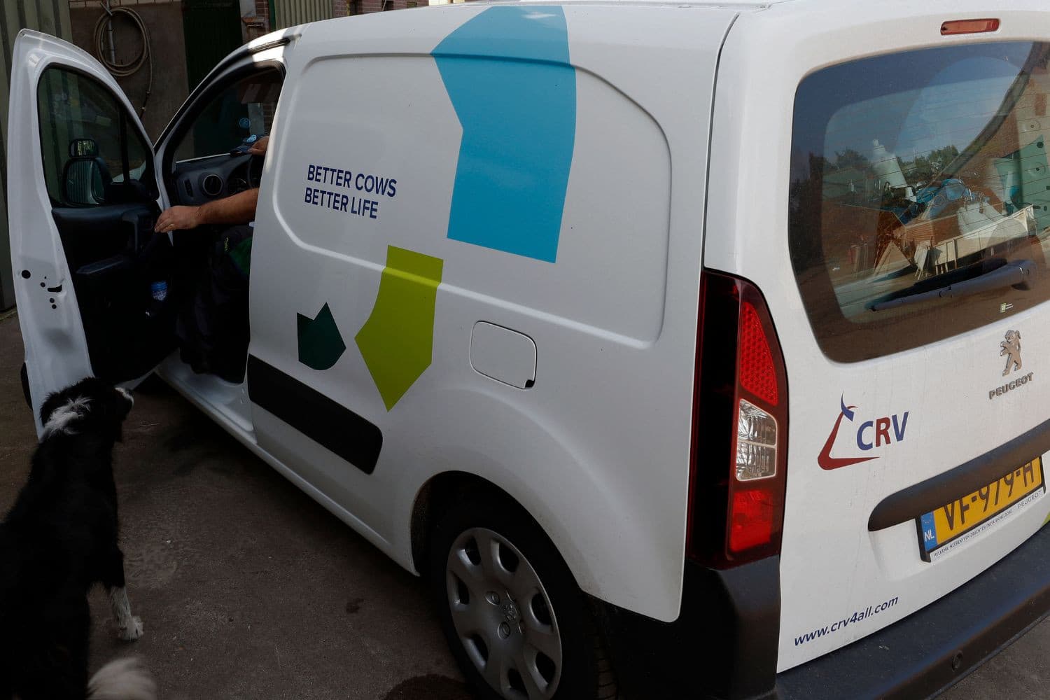 CRV leed in boekjaar 2023-2024 een verlies van €-4,2 miljoen door eenmalige kosten en marktontwikkelingen, maar investeerde fors in genetisch onderzoek. Foto: Bert Jansen