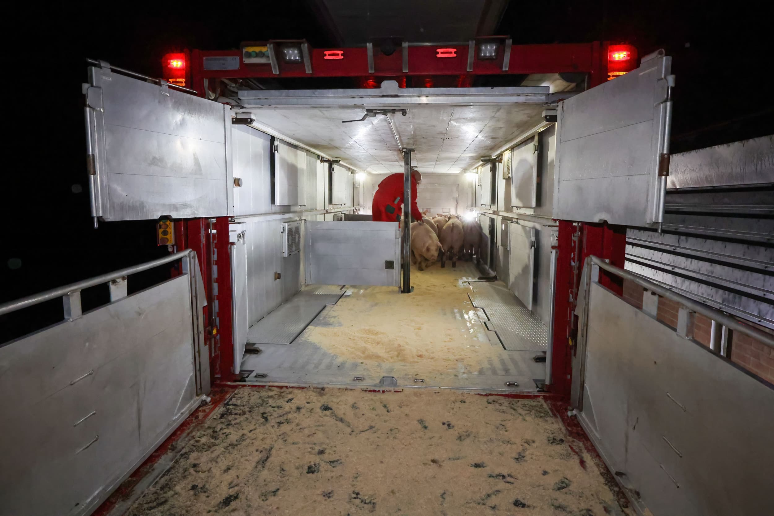Minister Wiersma overlegt met de sector over vervoersproblemen van varkens met lichte staartbeschadigingen. Foto: Bert Jansen