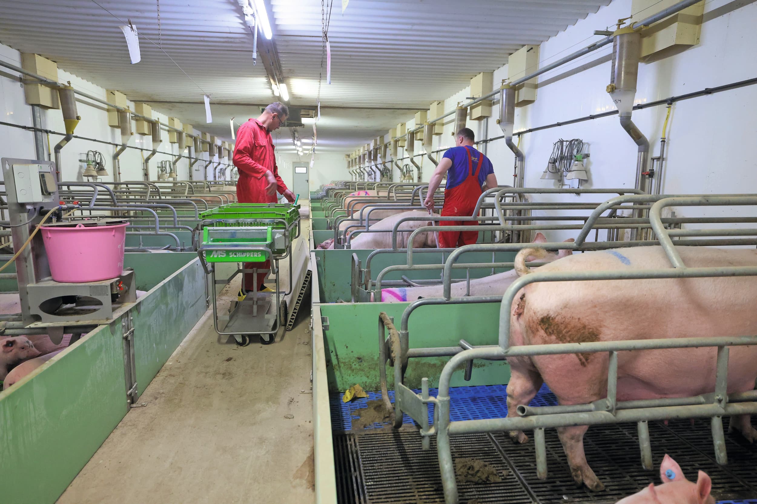 speendagen en betere verdeling arbeid