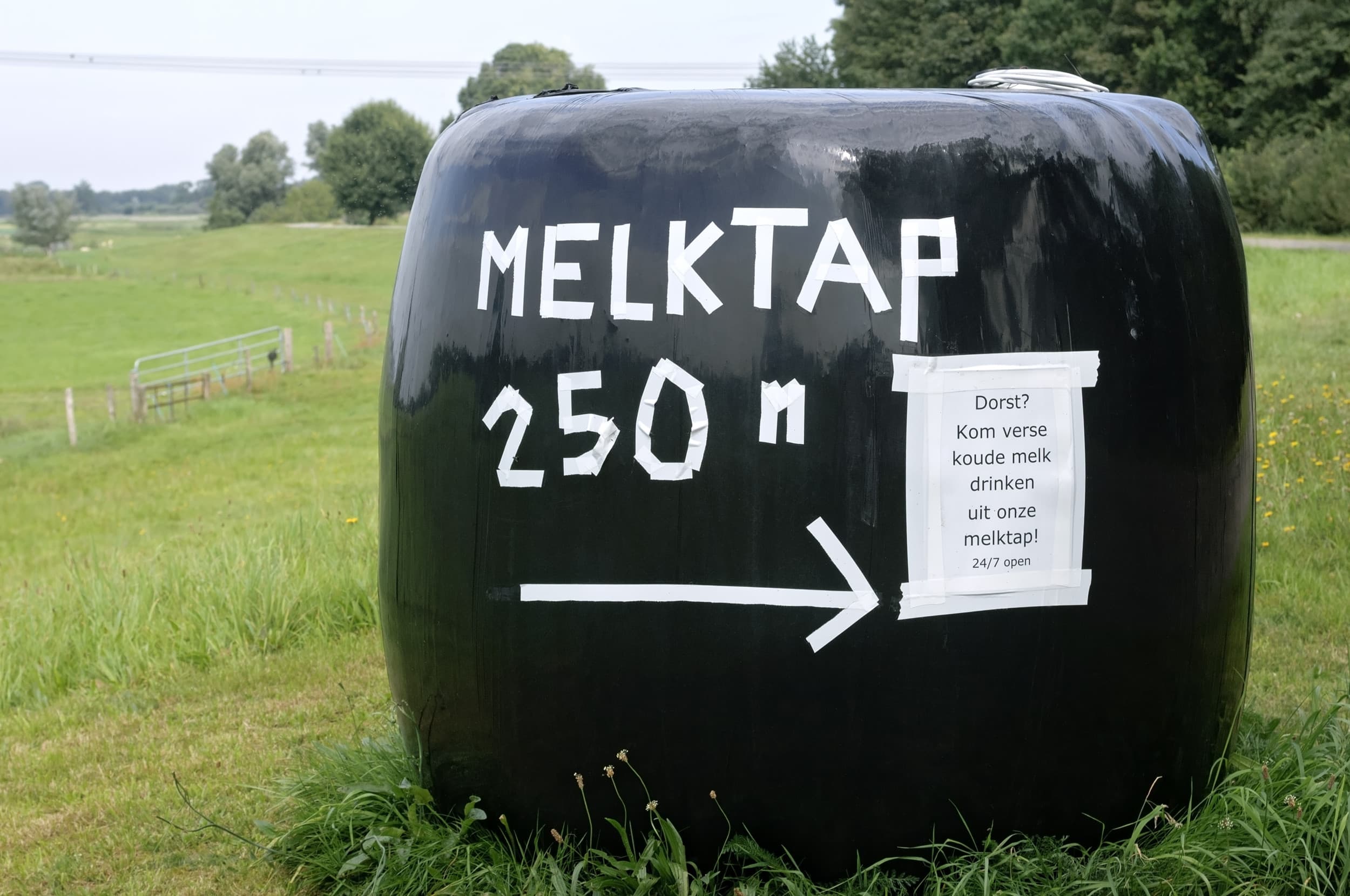 Wie rauwe melk verkoopt, rechtstreeks aan de consument, krijgt te maken met extra regels. Foto: ANP