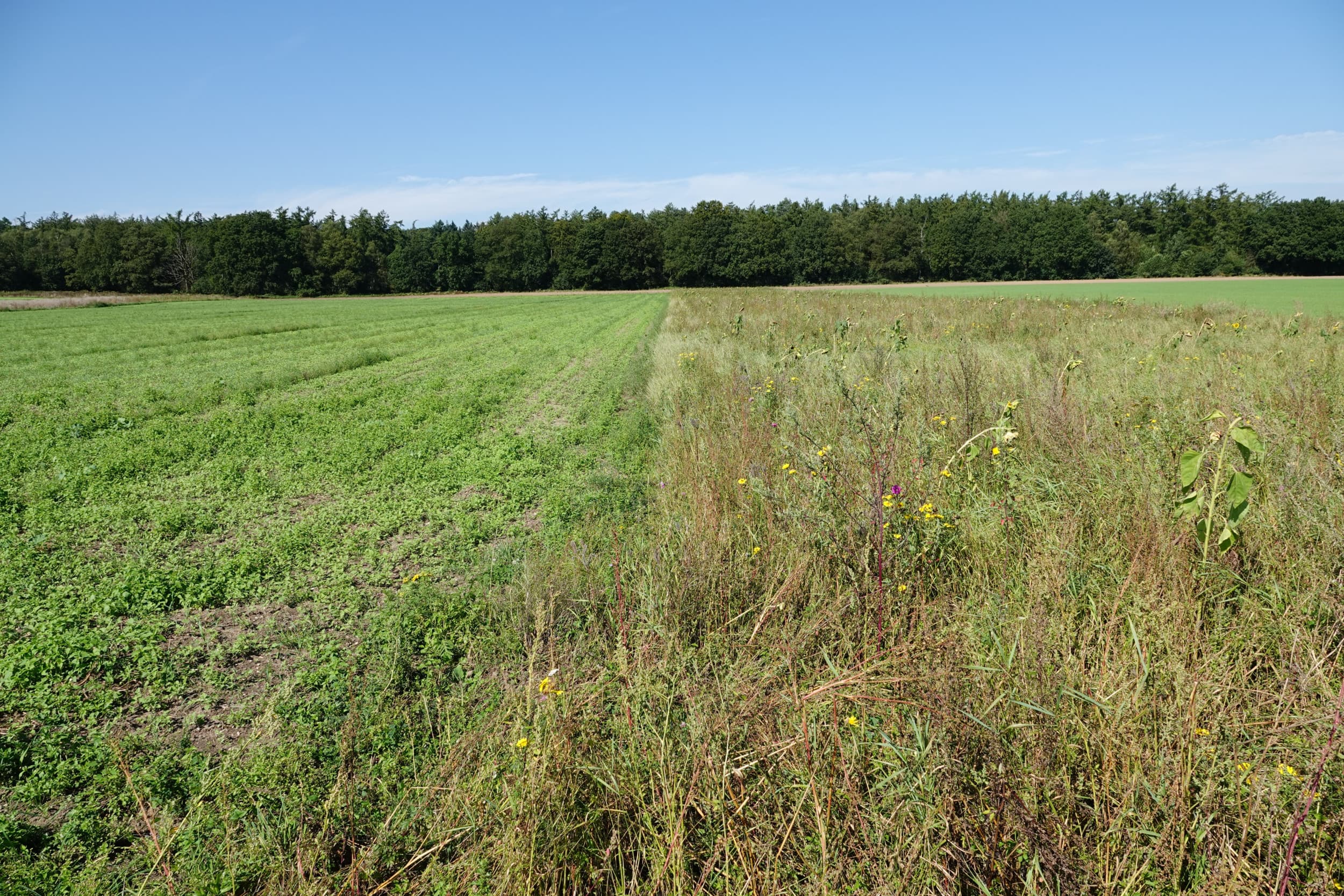 geen landbouwsubsidies meer