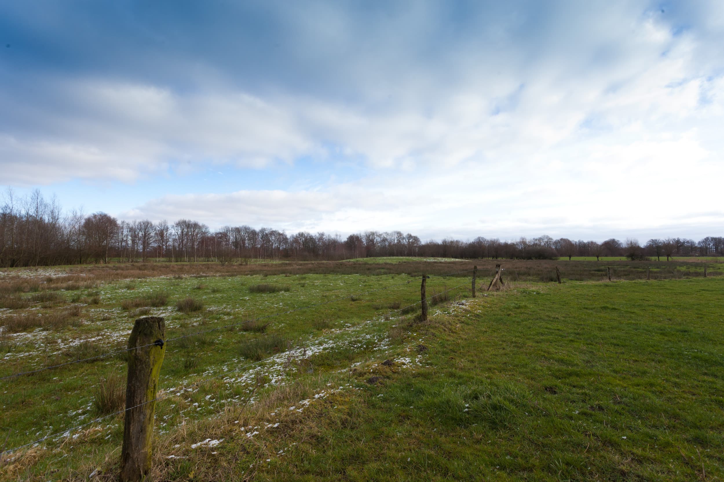 Agractie betwijfelt de onderbouwing van het stikstofbeleid en pleit voor betere natuurdoelanalyses, gebiedsgerichte sturing en hervatting van vergunningen bij dalende emissies. Foto: Joris Telders