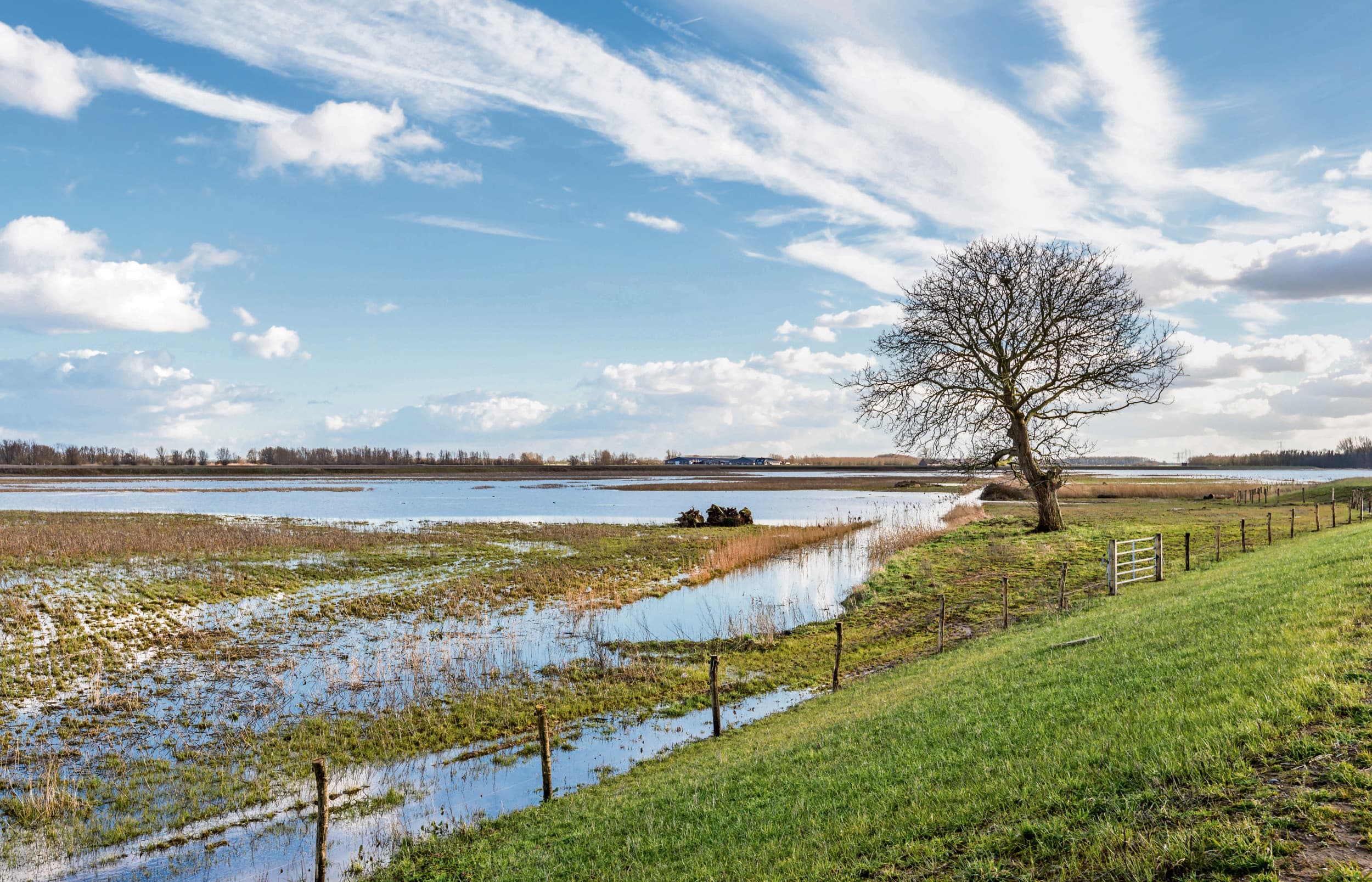Waar het gaat om de instandhouding van de natuur wil de landsadvocaat niet meegaan in het verhaal van Greenpeace dat de point of no return bereikt is. Foto: Canva/RuudMorijn