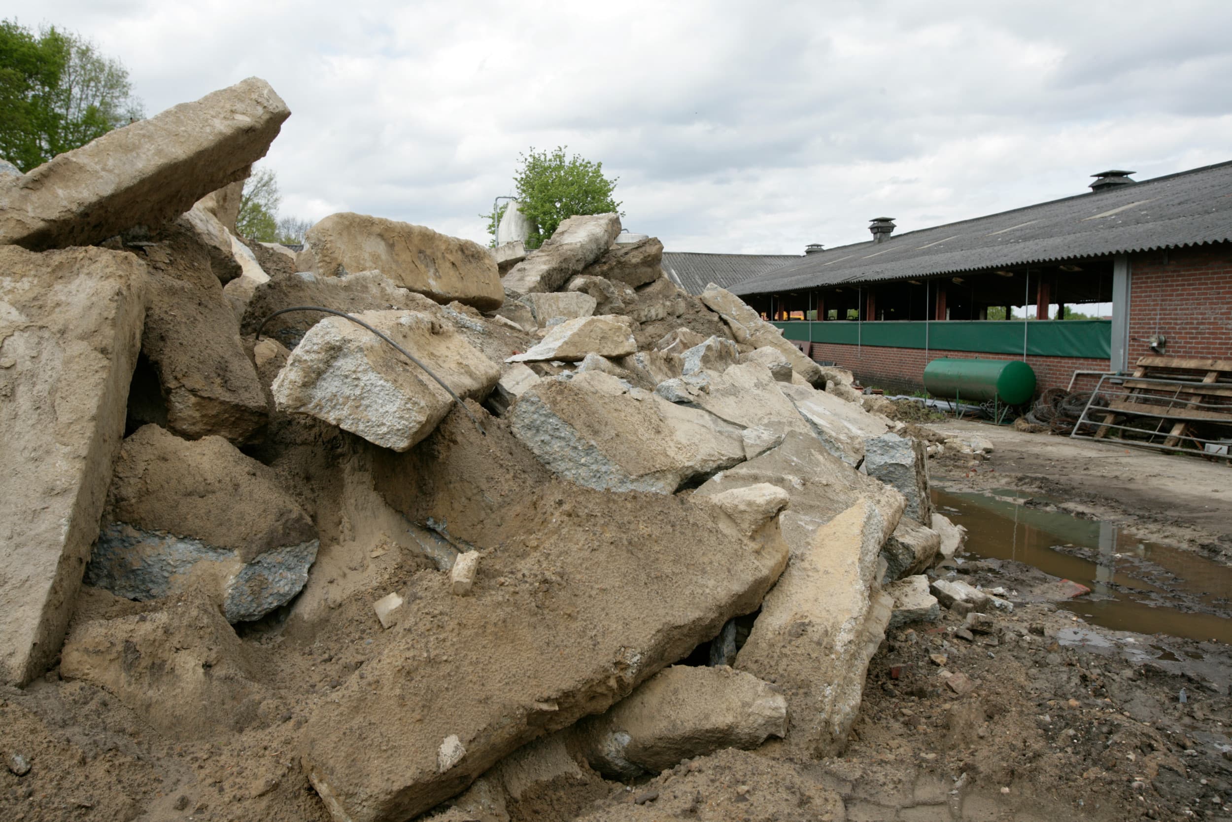 De Raad van State-uitspraak zorgt voor onzekerheid bij boeren die deelnemen aan de stoppersregeling, omdat vergunningen strenger worden getoetst. Foto: Koos Groenewold