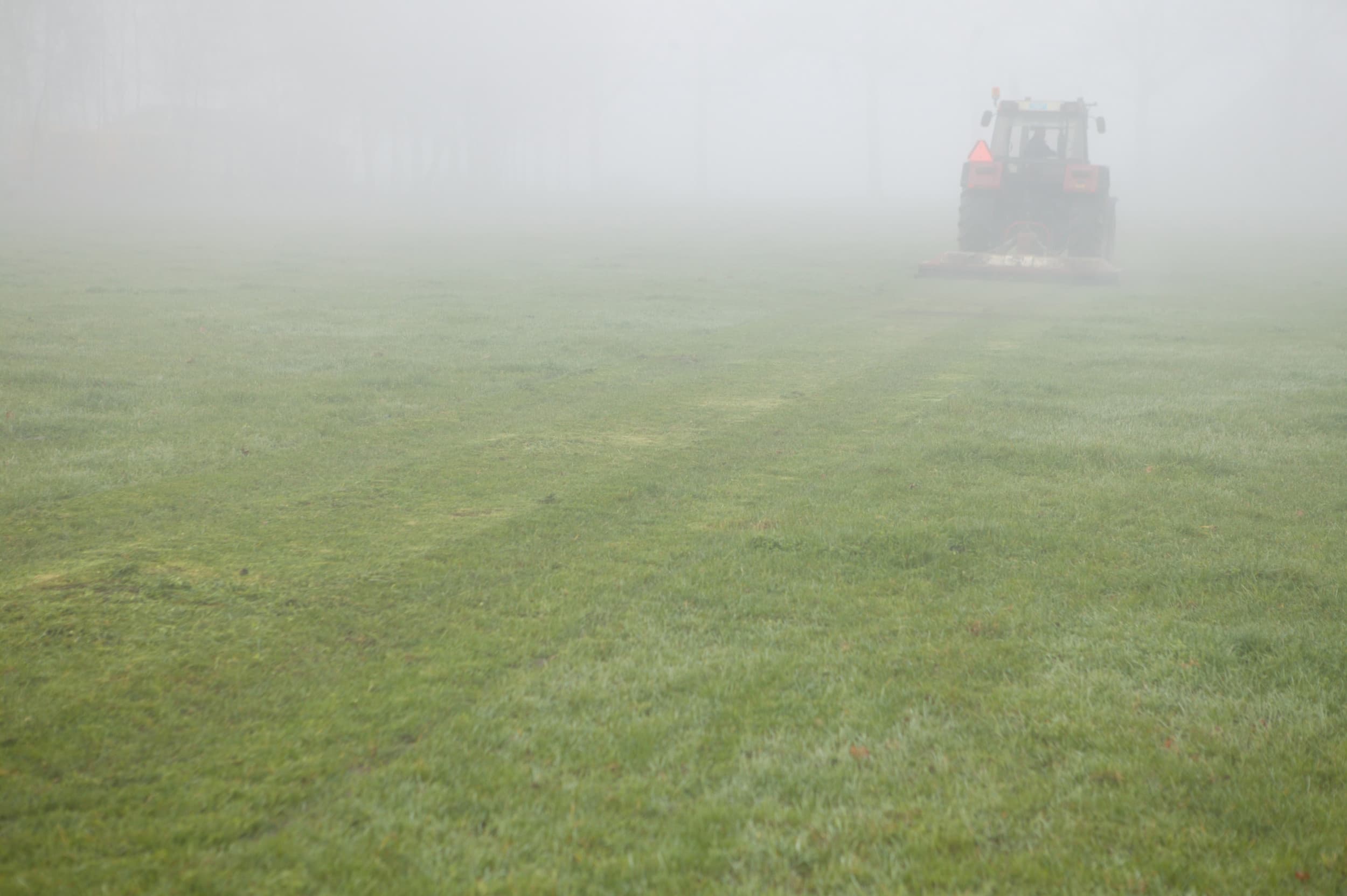 Blijvend grasland compenseert deels de landbouwuitstoot door CO₂-opslag, maar dit effect blijft beperkt tot bijna 2 megaton. Foto: Michel Zoeter