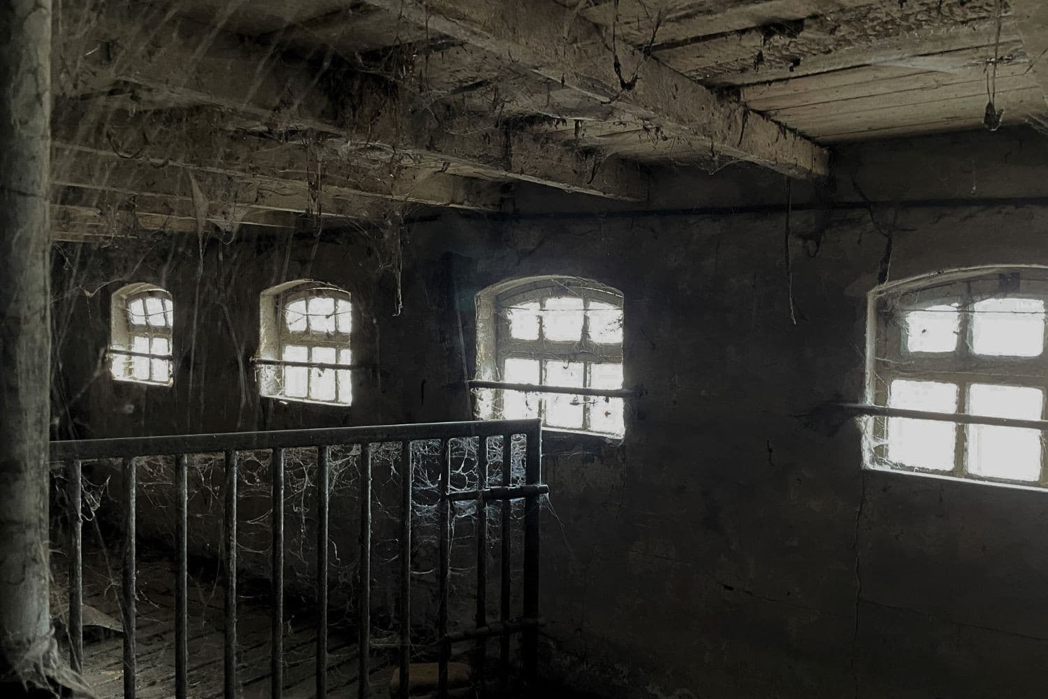 Een koude sanering dreigt: zonder financiële regelingen worden boeren gedwongen te stoppen of fors in te krimpen, aldus columnist Vergaderboer. Foto: Martijn ter Horst