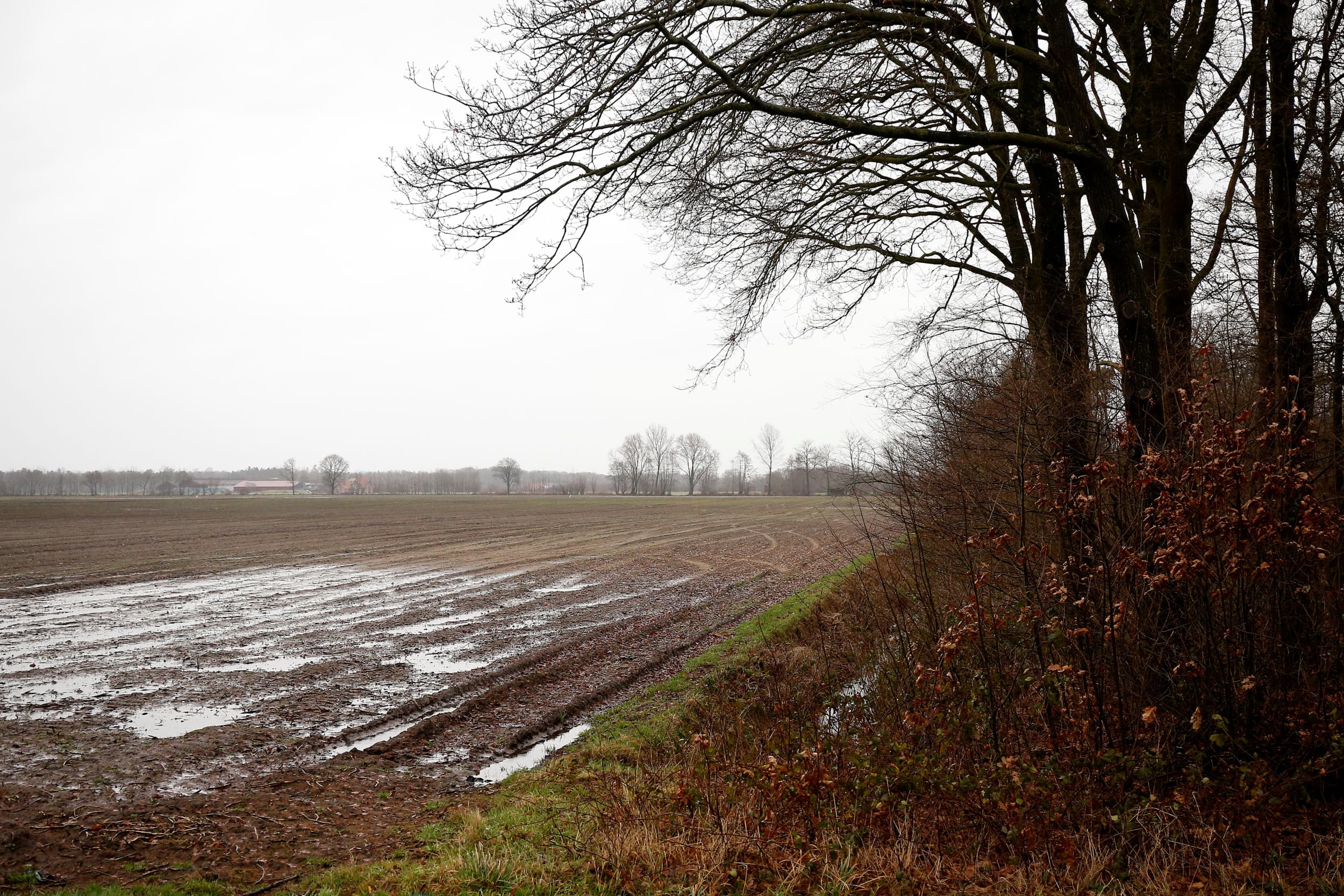 Omgeving Winterswijk (Gld.). Gelderland stelt stikstofnormen vast in nog te bepalen zones rond de Veluwe en Winterswijk om de uitstoot te verlagen. Foto ter illustratie. Foto: Hans Prinsen