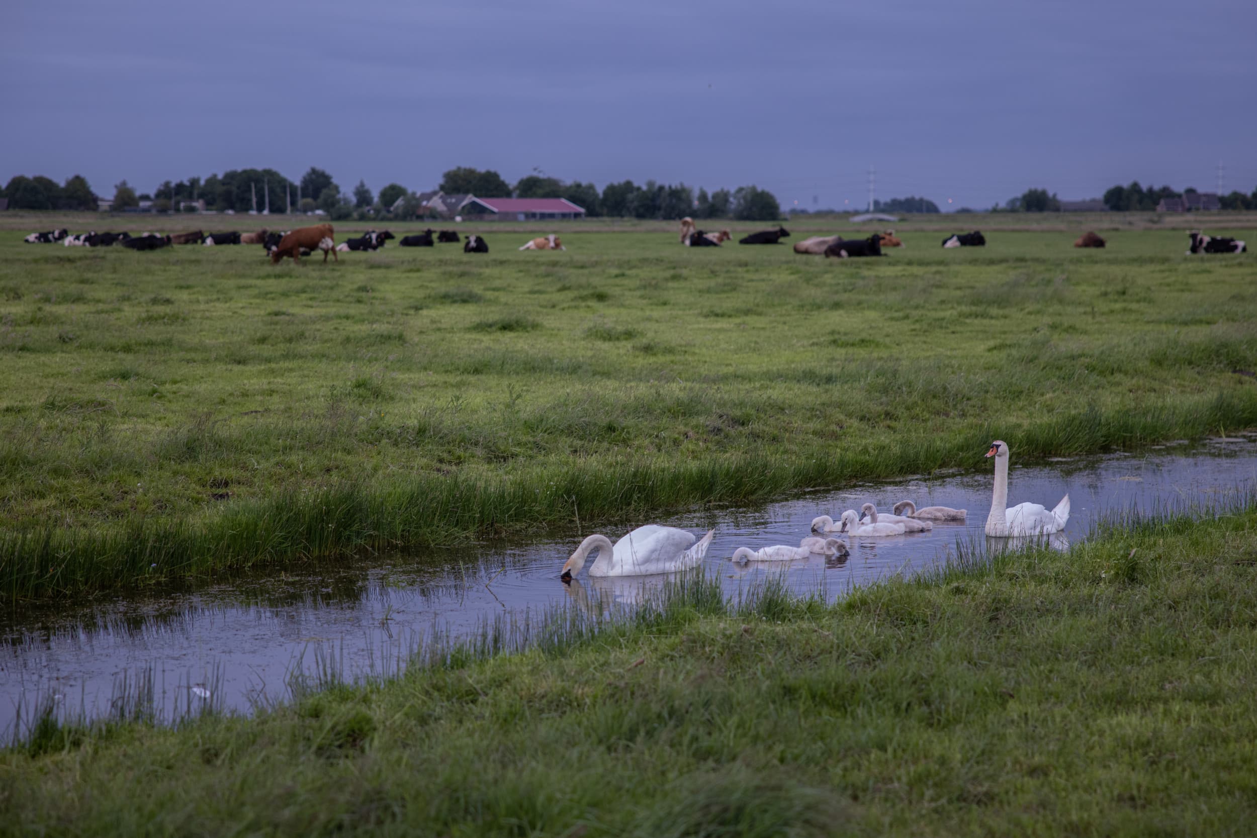 tien geboden landbouw
