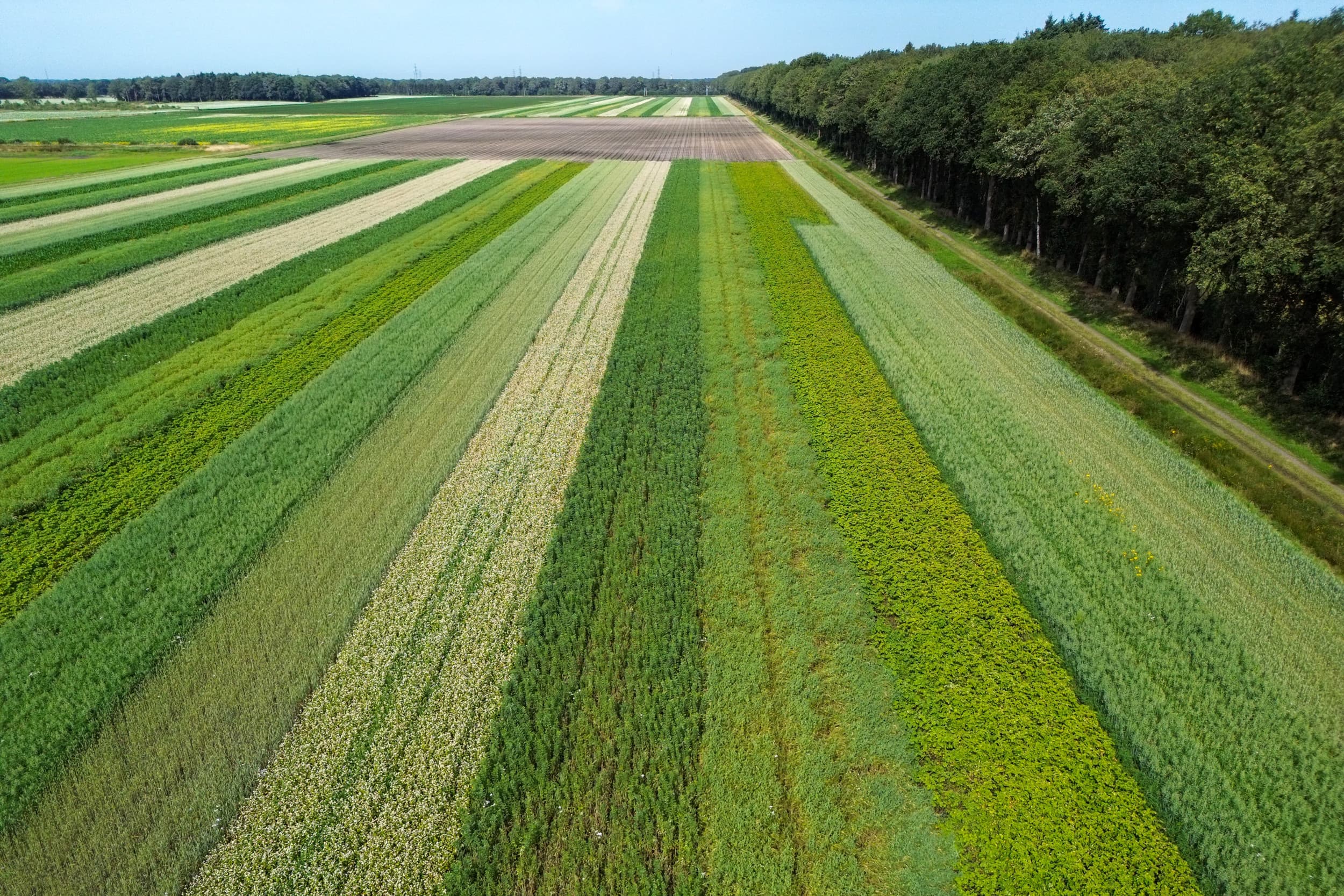pacht biologische landbouwgrond